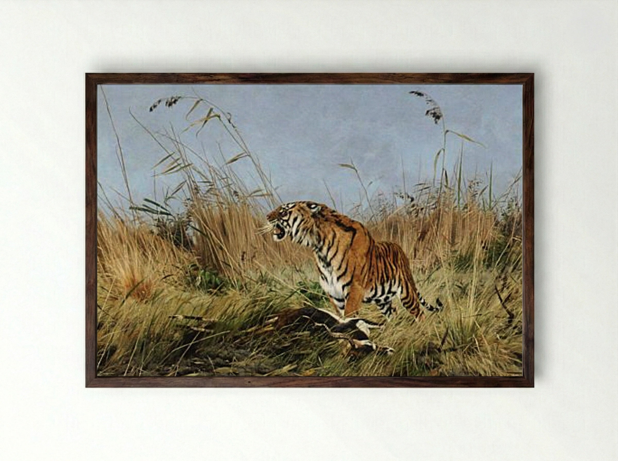 The Tiger - Richard Friese - Framed Print Dark Wood