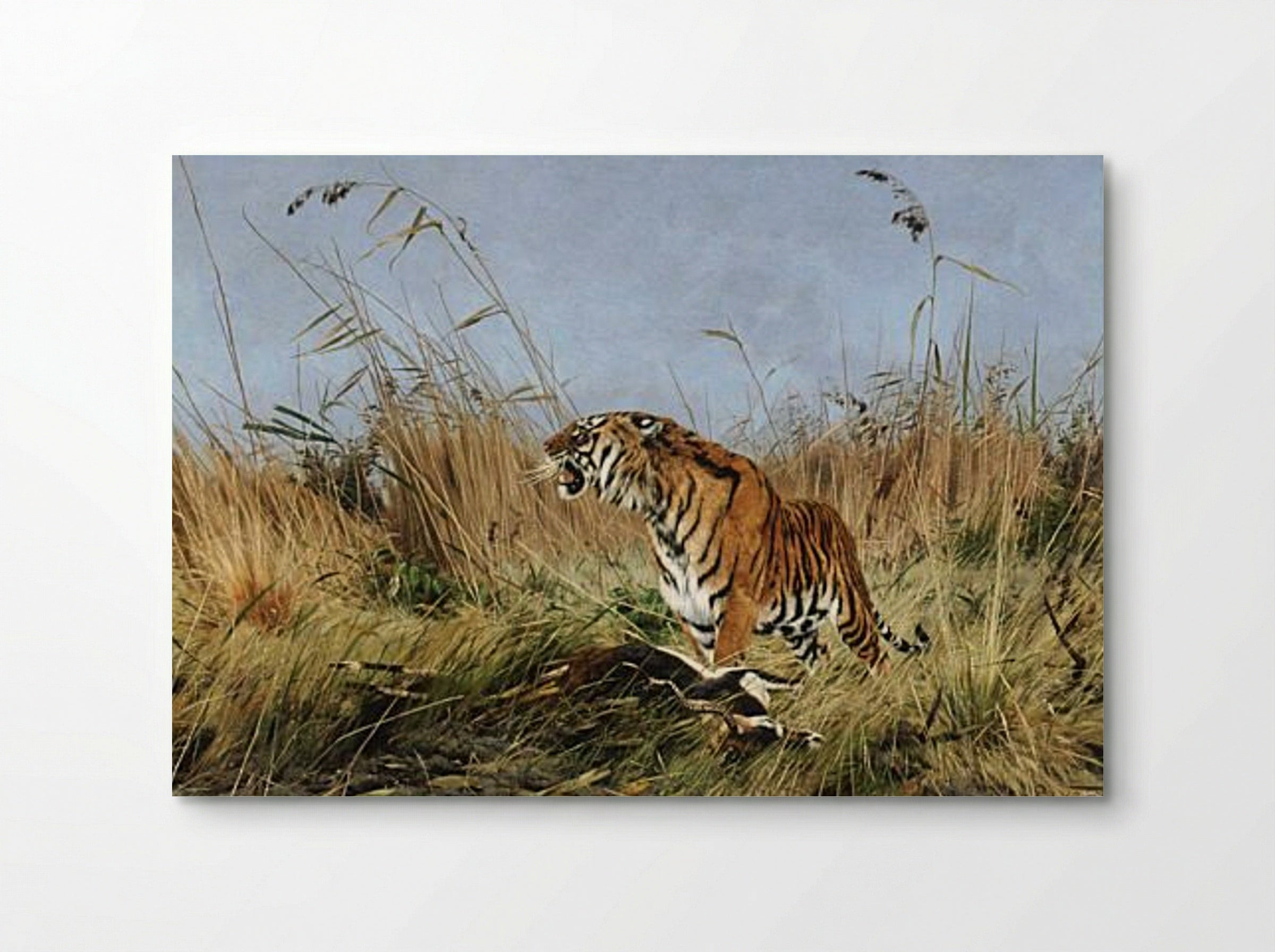 The Tiger - Richard Friese - Poster