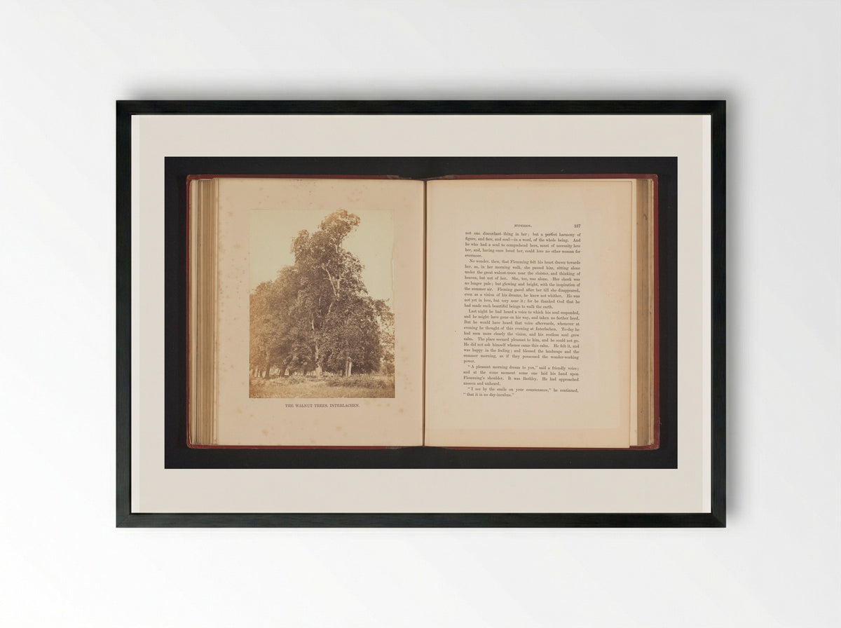 The Walnut Trees, Interlachen - Francis Frith - Framed Print Black