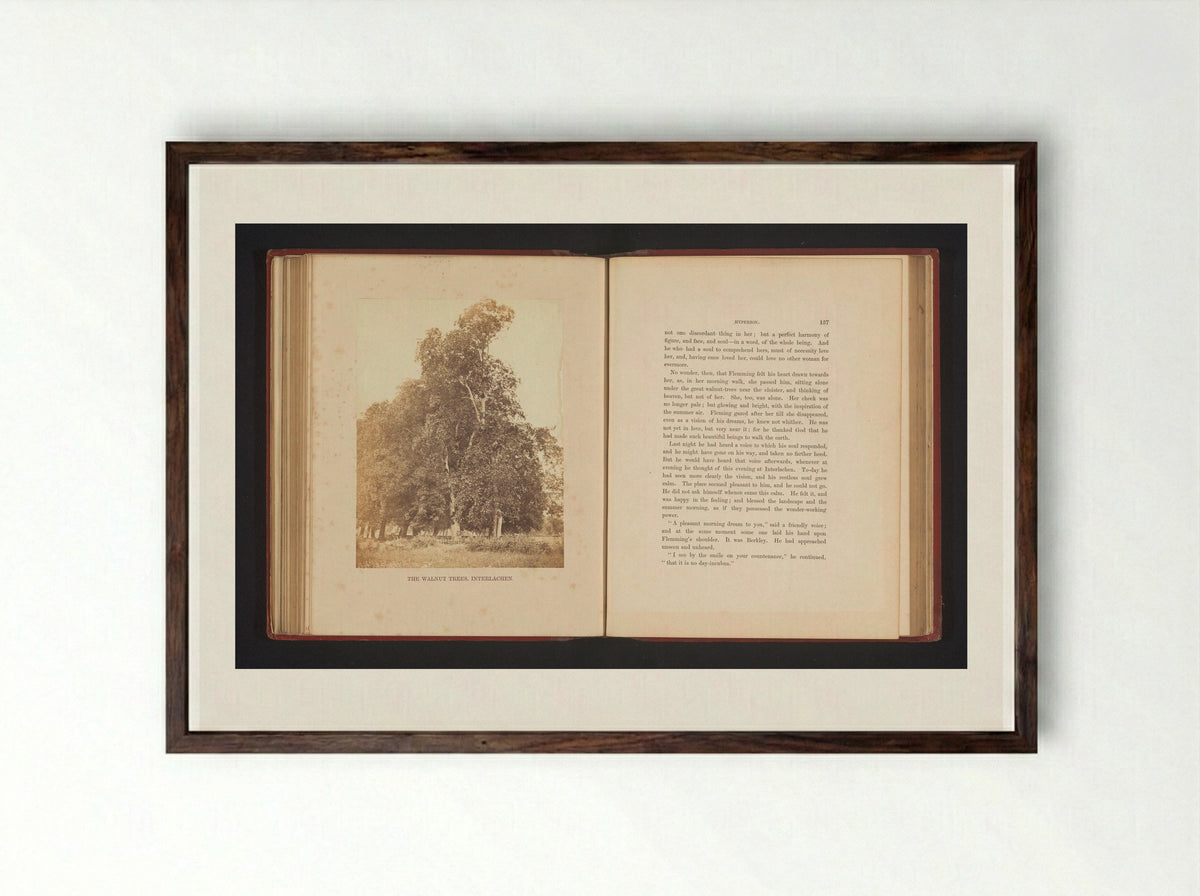 The Walnut Trees, Interlachen - Francis Frith - Framed Print Dark Wood