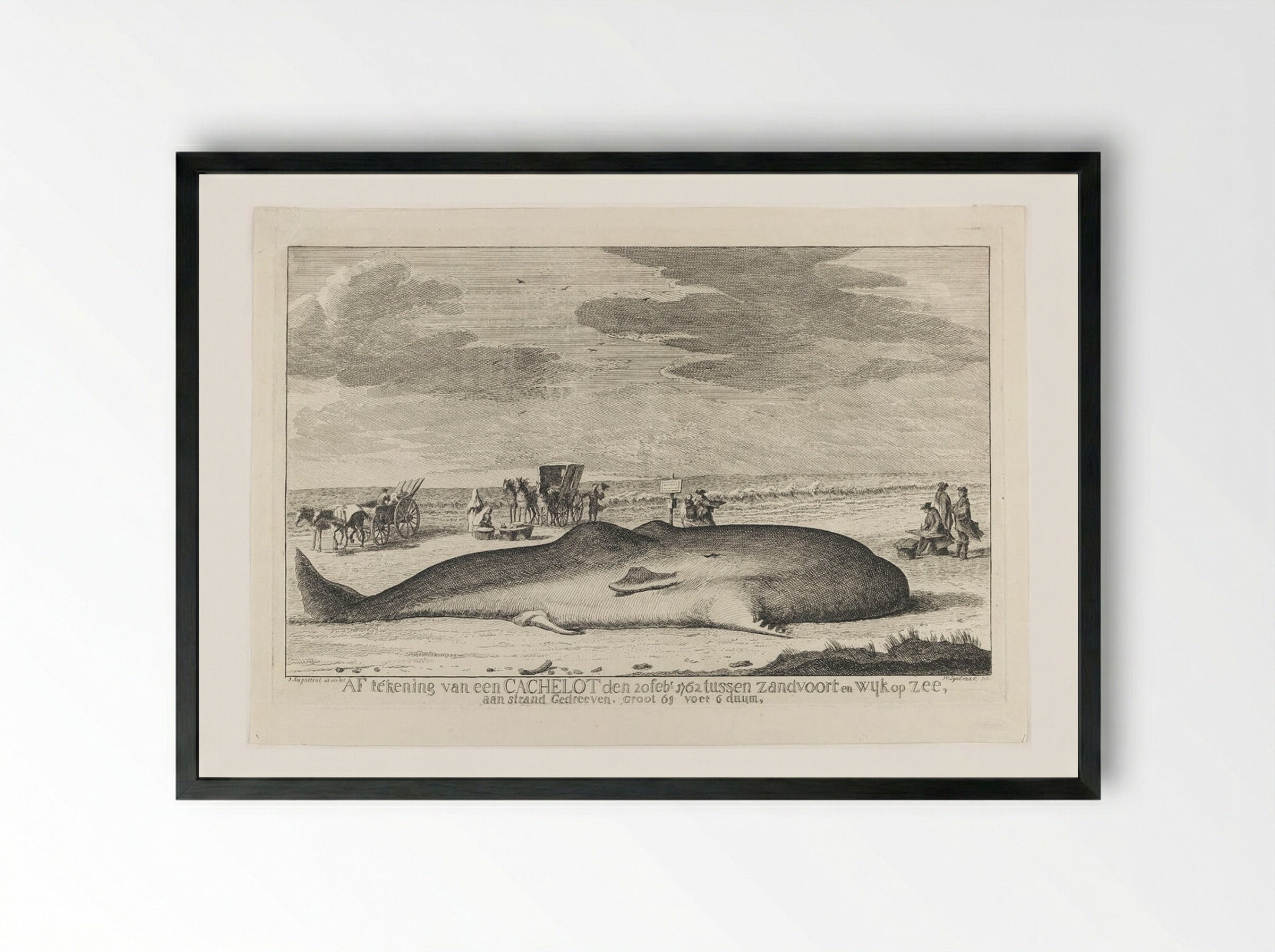 The Whale Stranded between Zandvoort and Wijk Op Zee - Hendrik Spilman - Framed Print Black
