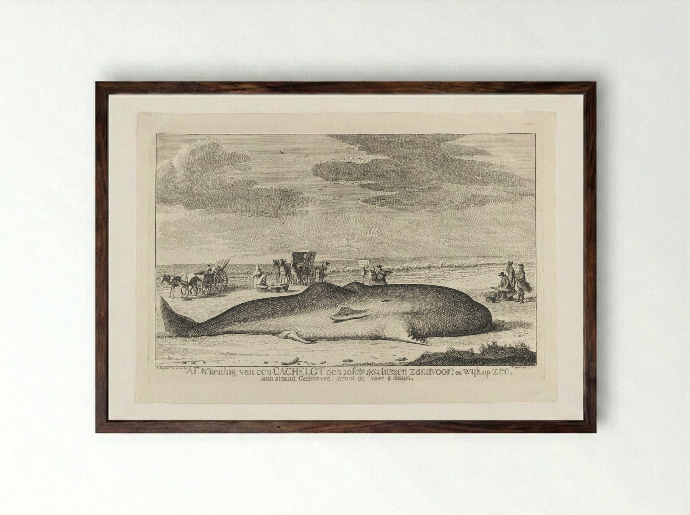 The Whale Stranded between Zandvoort and Wijk Op Zee - Hendrik Spilman - Framed Print Dark Wood