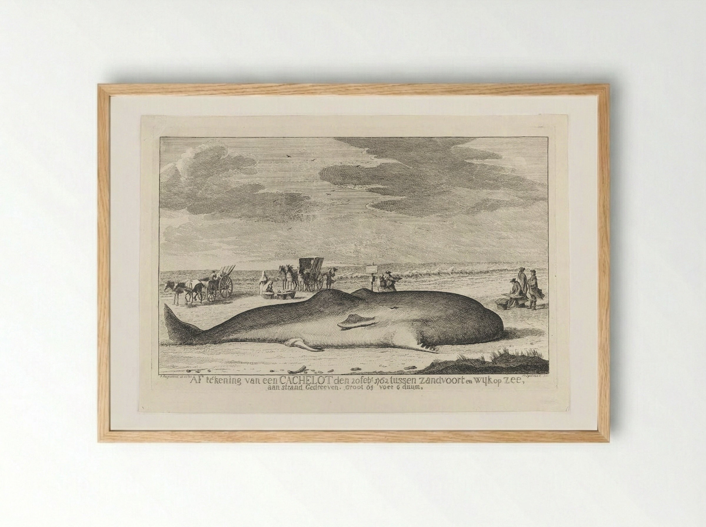 The Whale Stranded between Zandvoort and Wijk Op Zee - Hendrik Spilman - Framed Print Wood