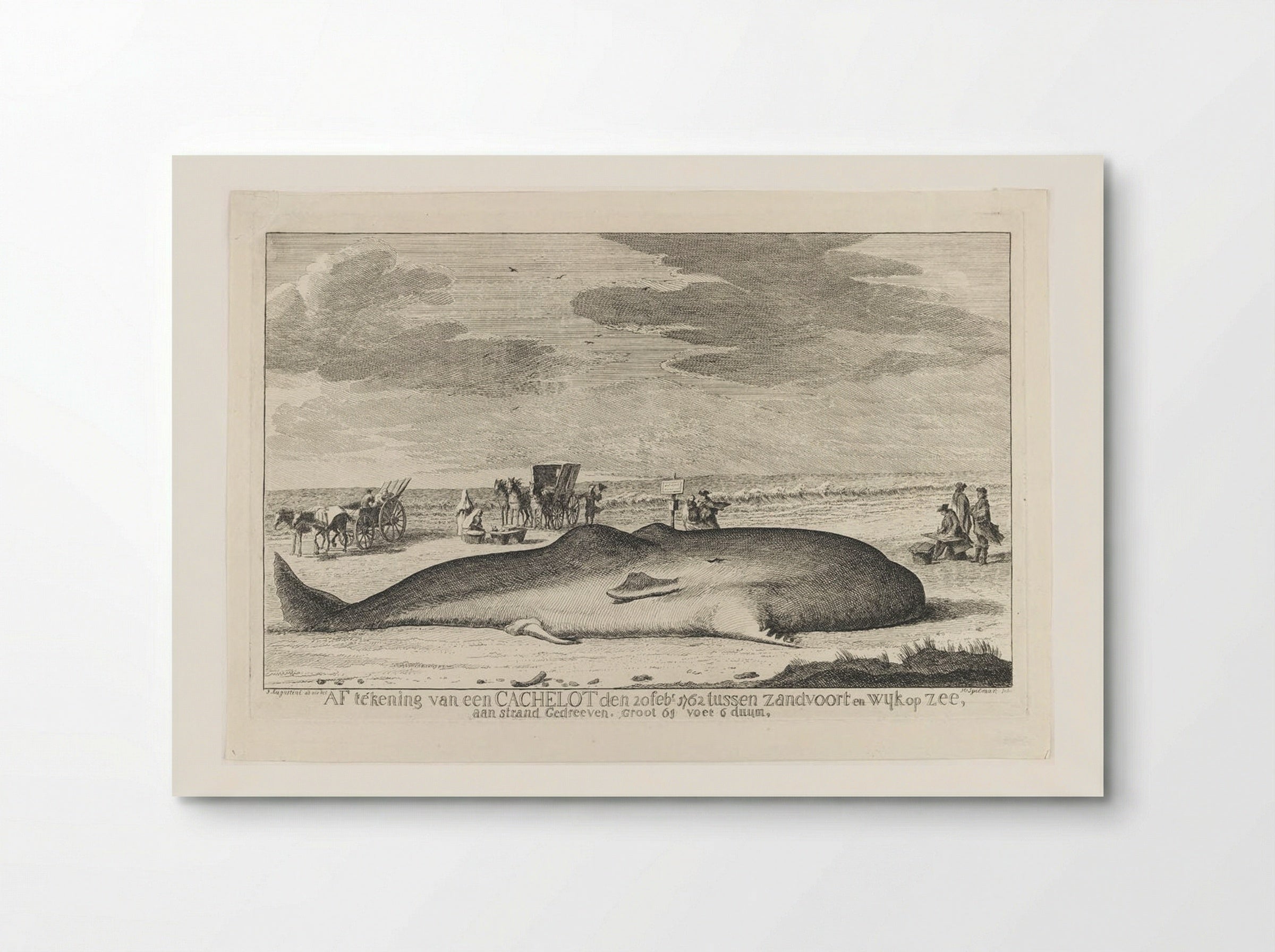 The Whale Stranded between Zandvoort and Wijk Op Zee - Hendrik Spilman - Poster