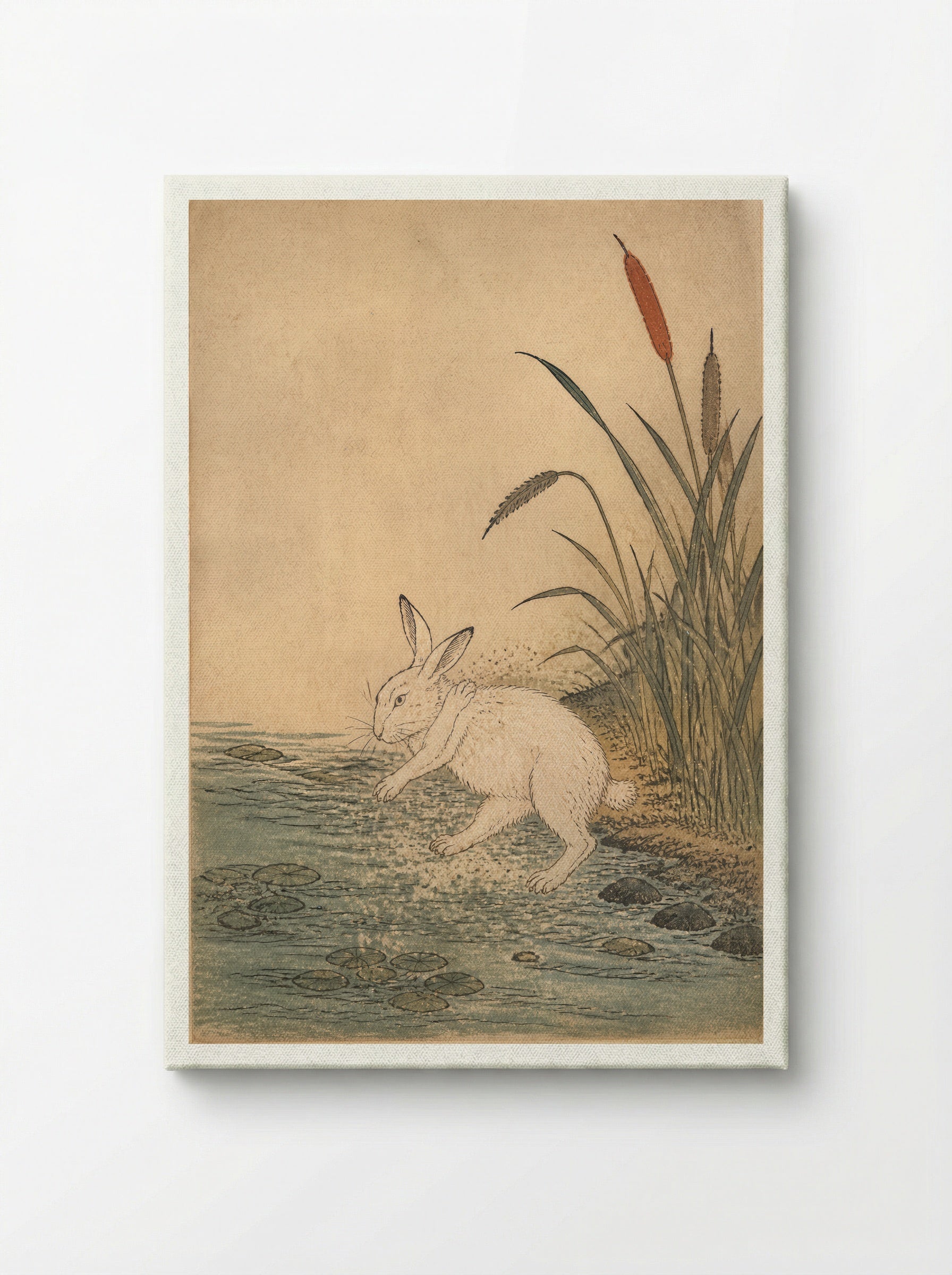 The White Hare of Inaba: Cattails at Cape Keta - Canvas