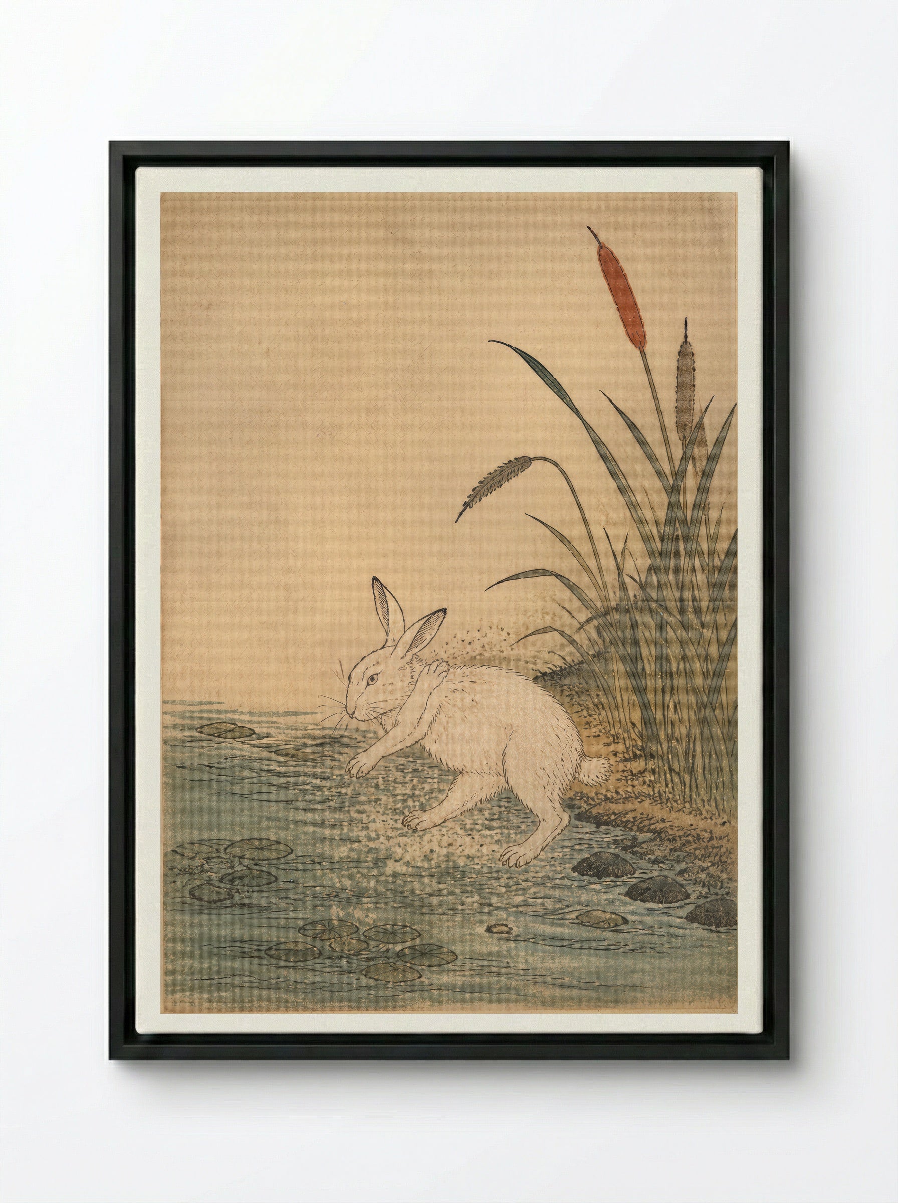 The White Hare of Inaba: Cattails at Cape Keta - Framed Canvas Black