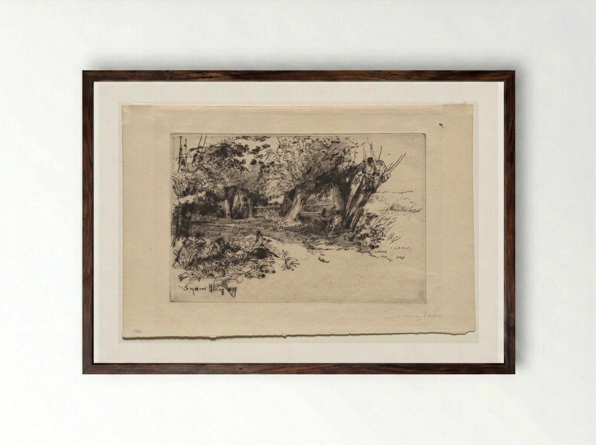 The Willows - Francis Seymour Haden - Framed Print Dark Wood
