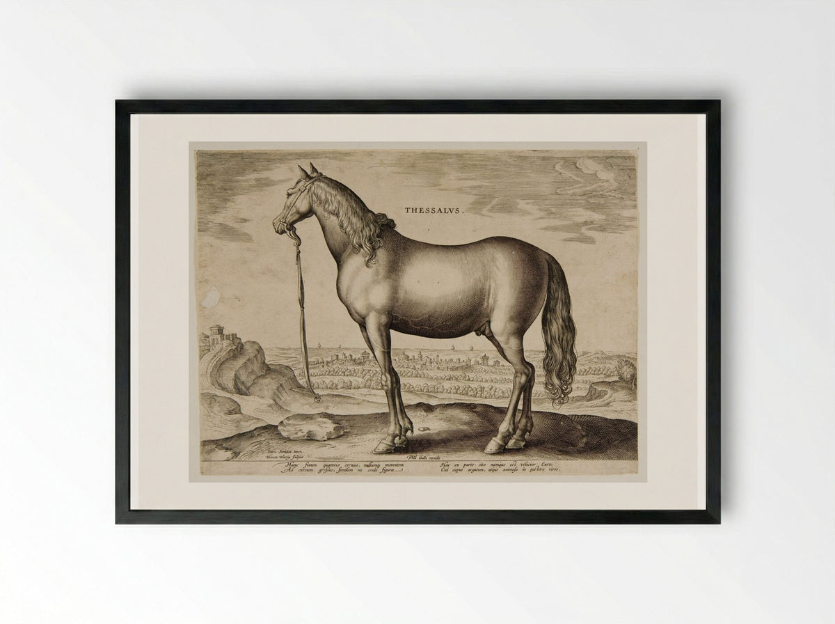 Thessalus - Hieronymus Wierix - Framed Print Black