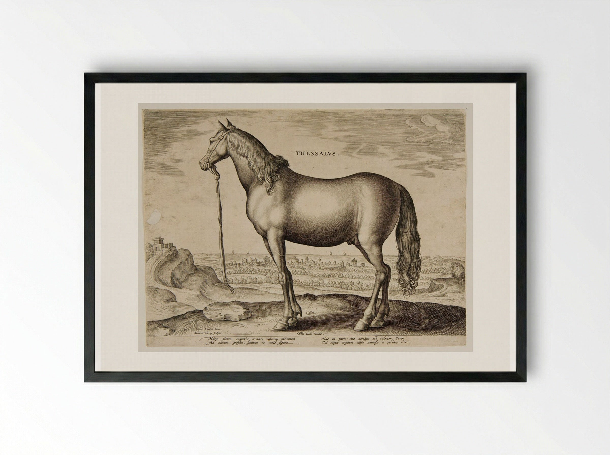 Thessalus - Hieronymus Wierix - Framed Print Black