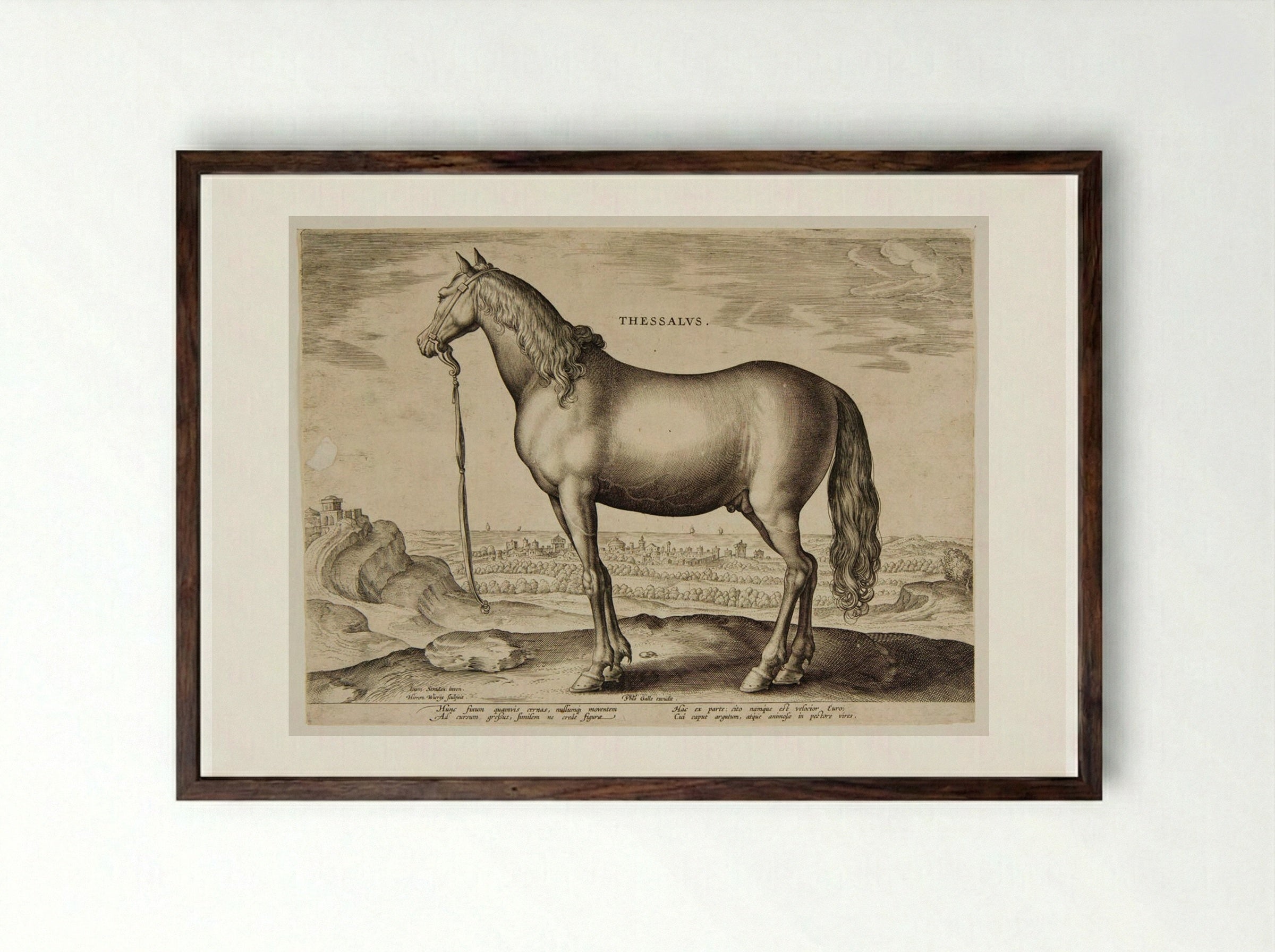 Thessalus - Hieronymus Wierix - Framed Print Dark Wood