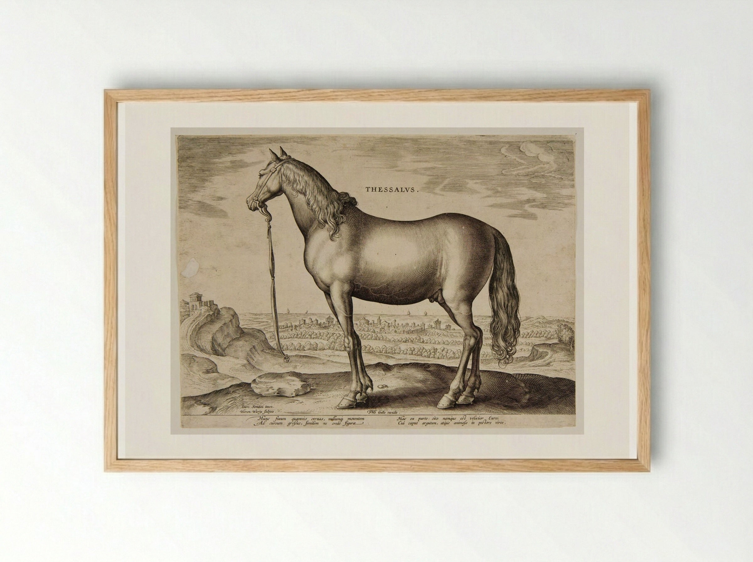 Thessalus - Hieronymus Wierix - Framed Print Wood