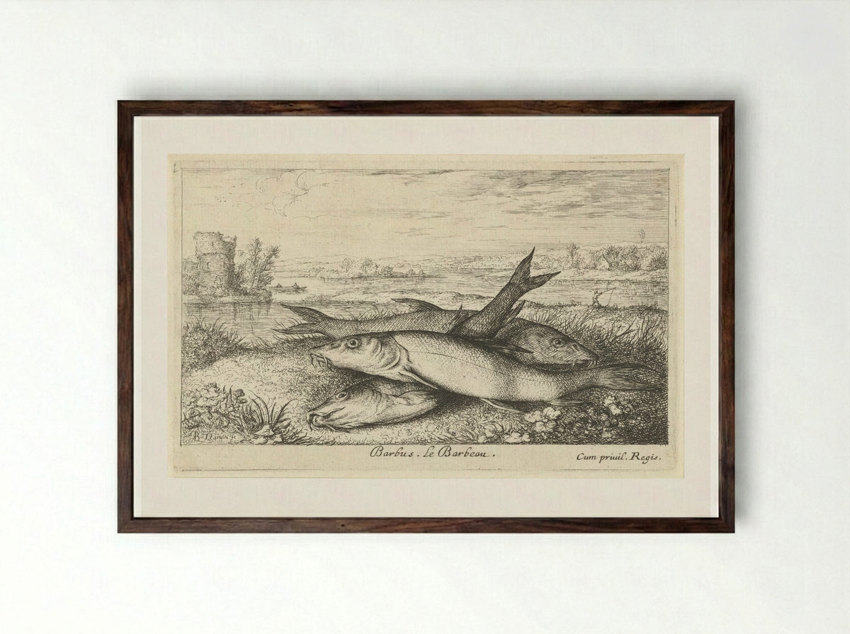 Three Barbel on a Riverbank - Albert Flamen - Framed Print Dark Wood