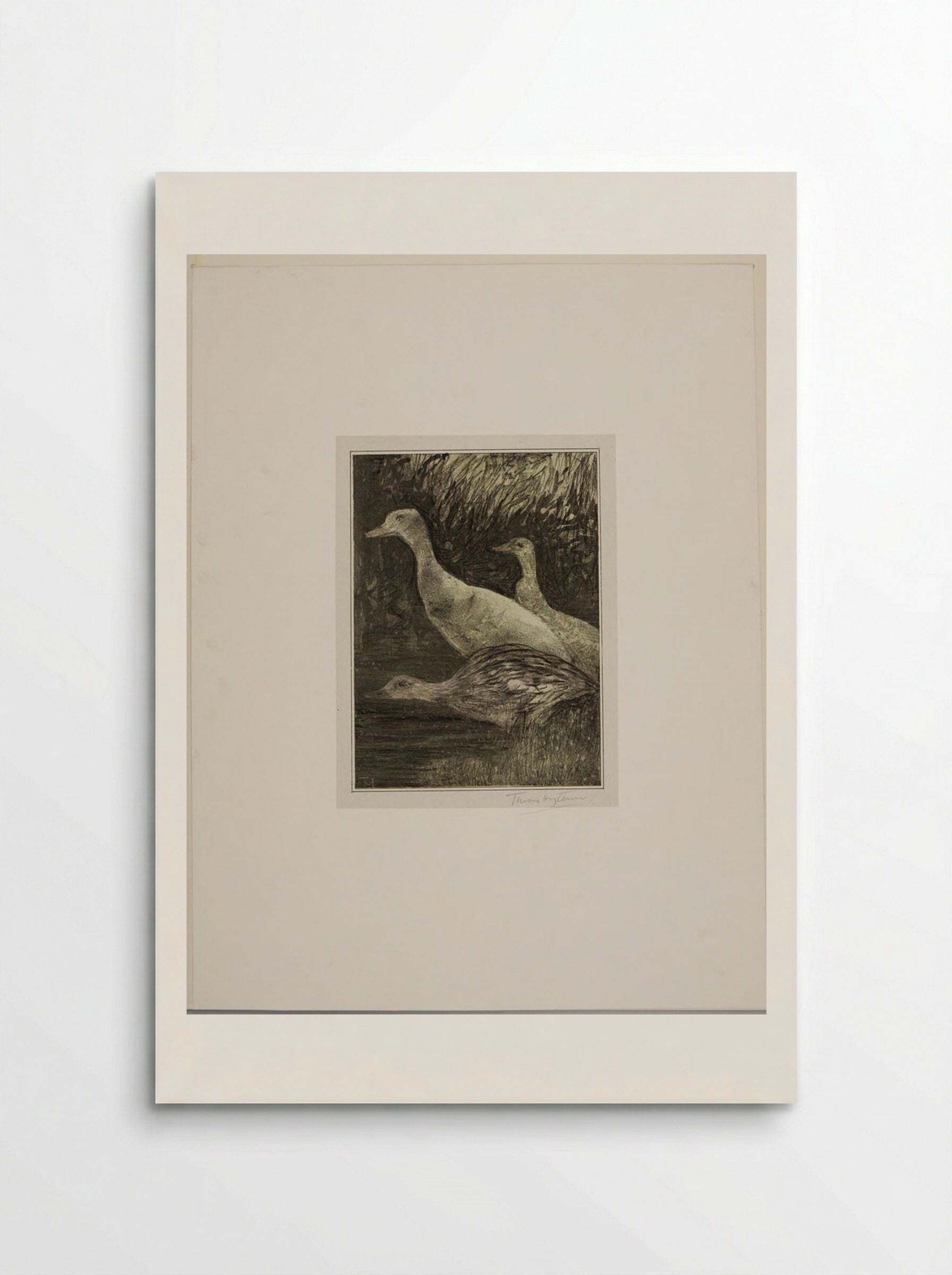 Three Birds - Theo van Hoytema - Poster