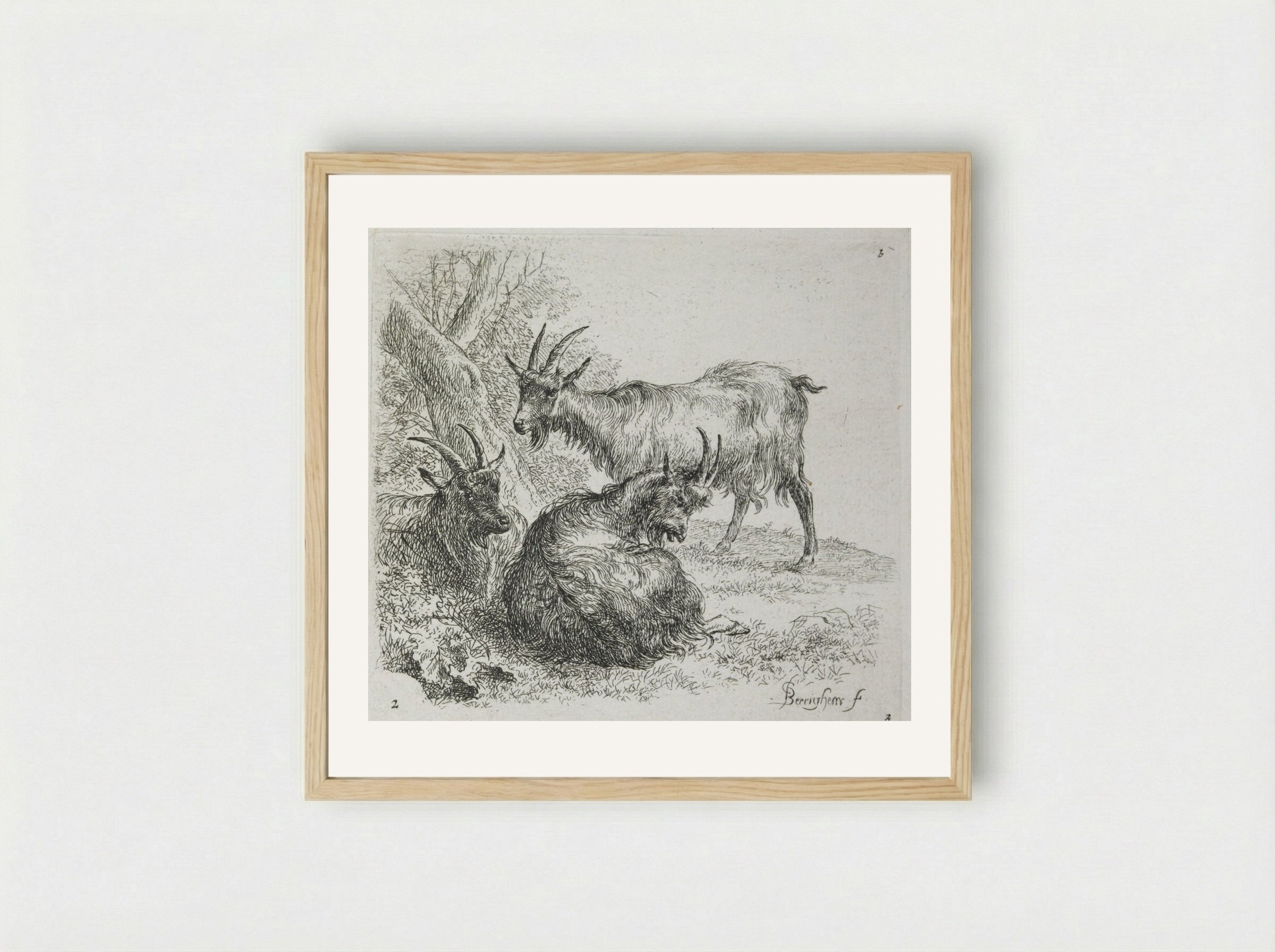 Three Goats Lying Near a Tree - Nicolaes Berchem - Framed Print Wood
