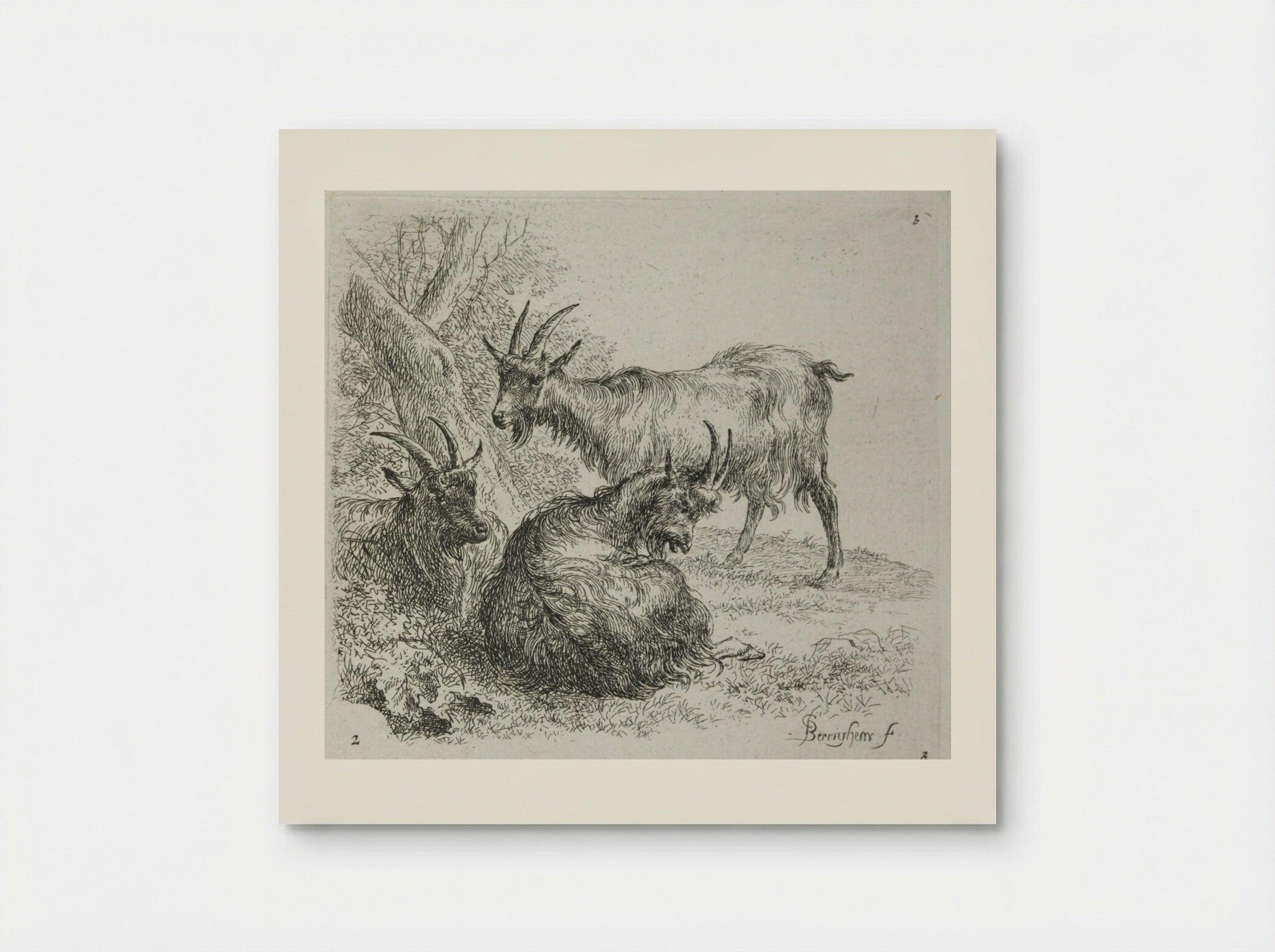Three Goats Lying Near a Tree - Nicolaes Berchem - Poster
