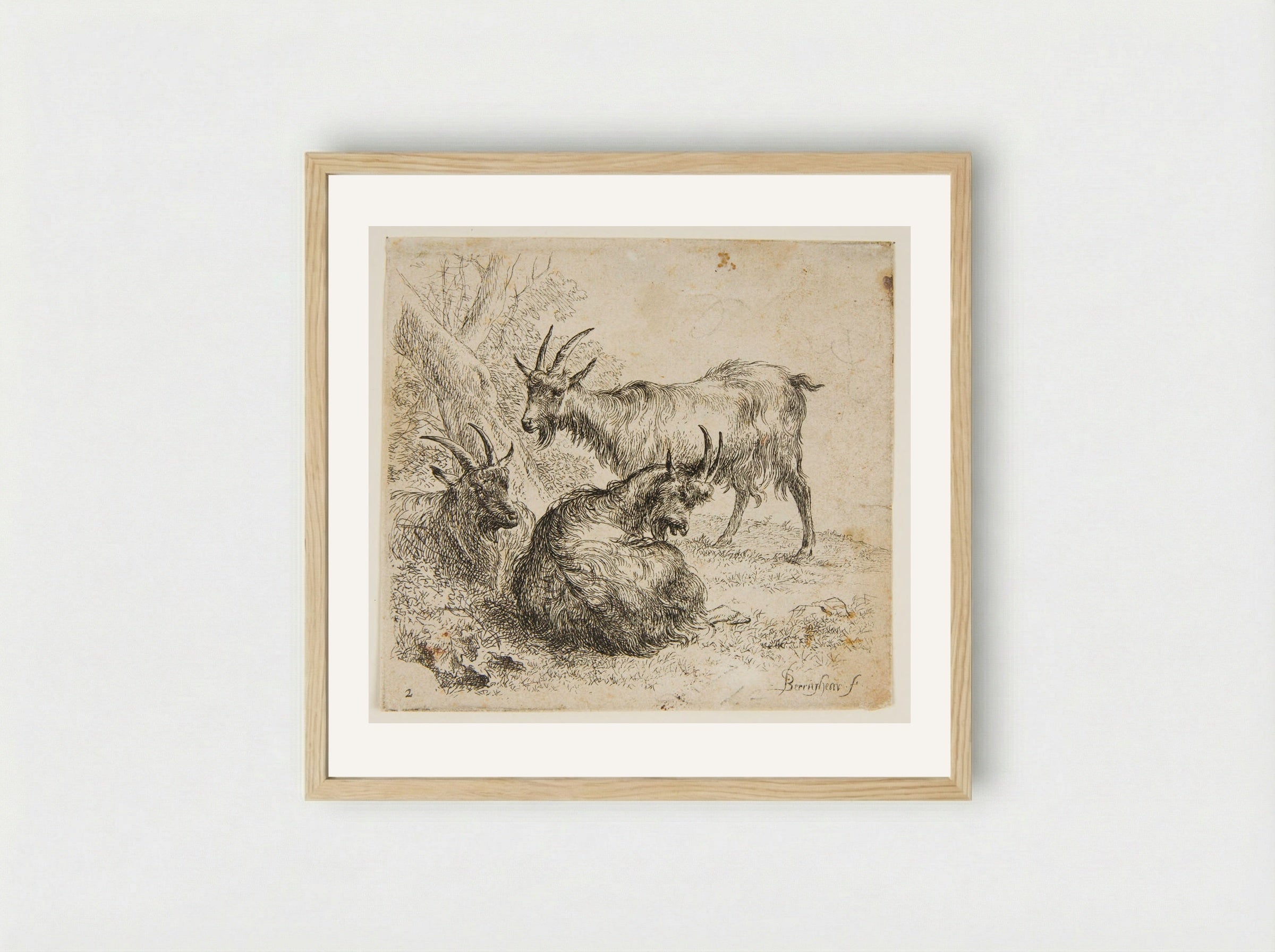 Three Goats Under a Tree - Nicolaes Berchem - Framed Print Wood