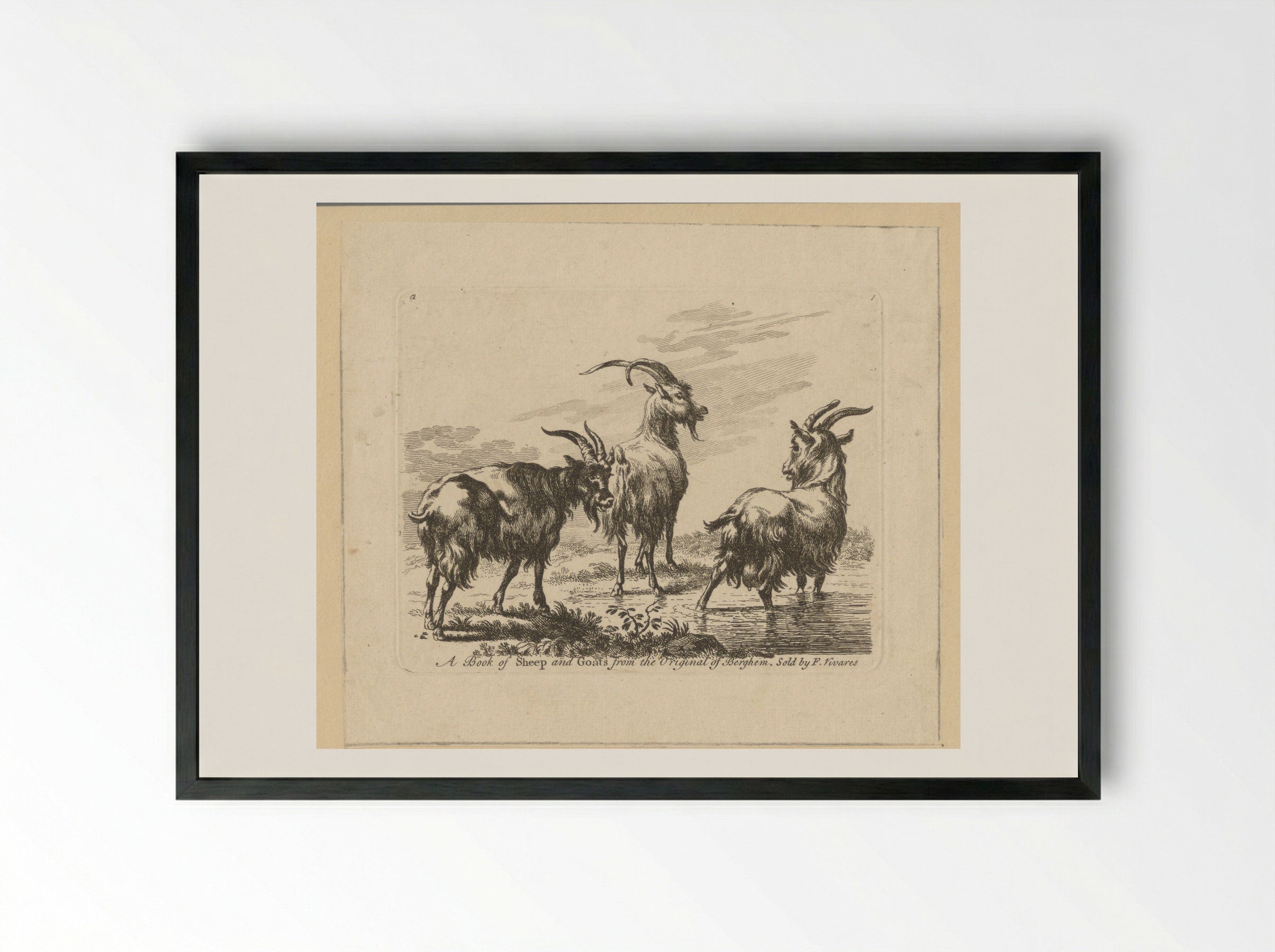 Three Goats by a Stream - François Vivares - Framed Print Black