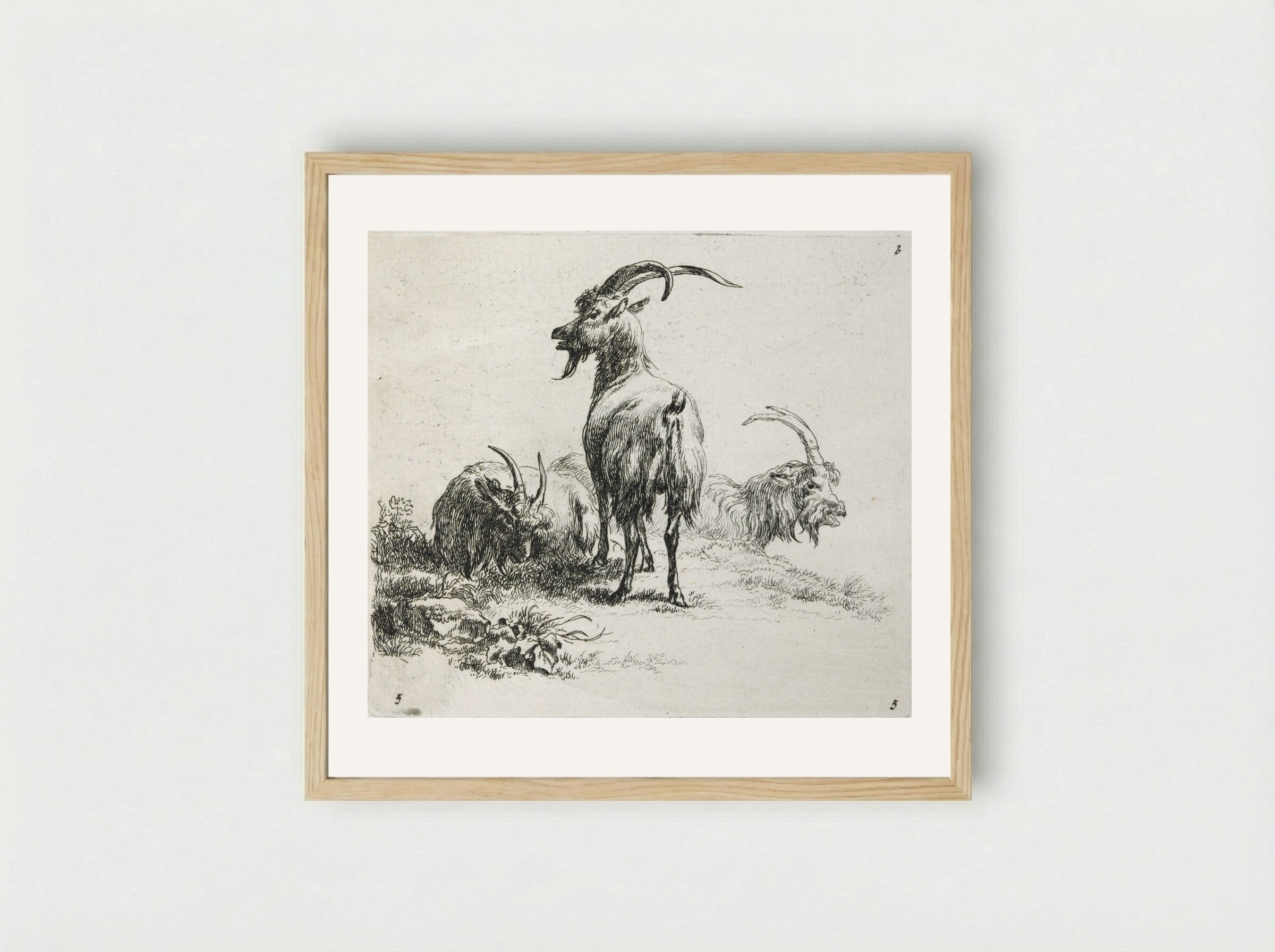 Three Goats - Nicolaes Berchem - Framed Print Wood