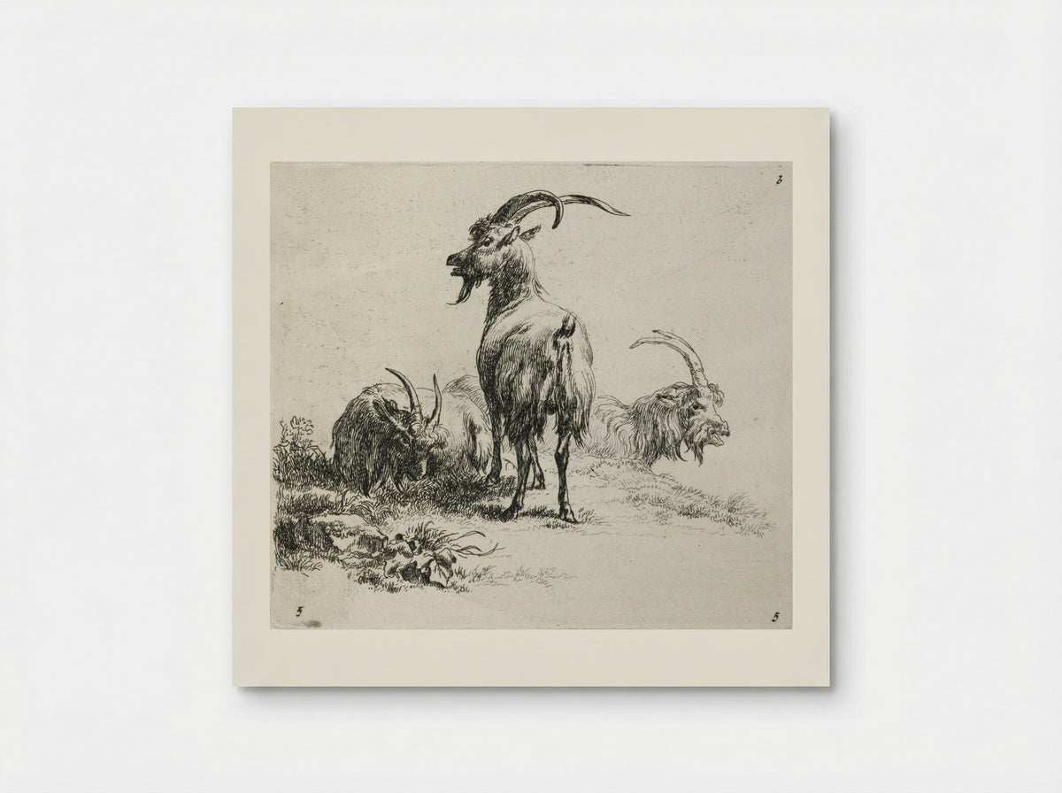 Three Goats - Nicolaes Berchem - Poster