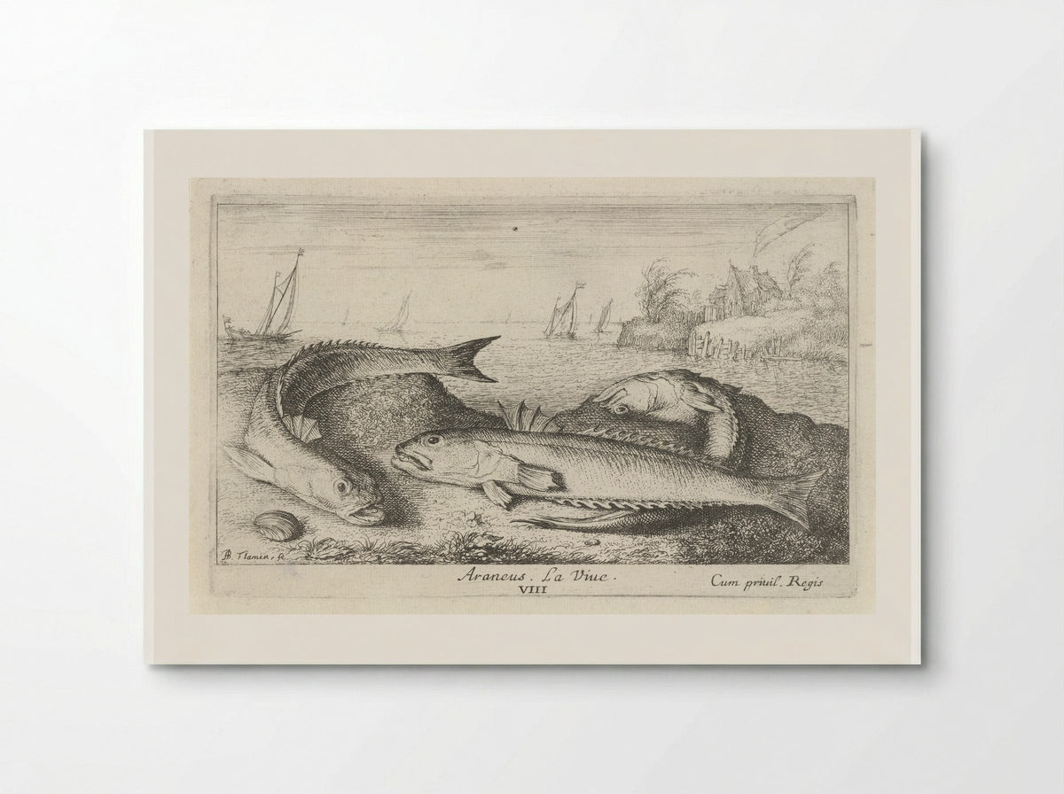 Three Greater Weever Fish on the Shore - Albert Flamen - Poster