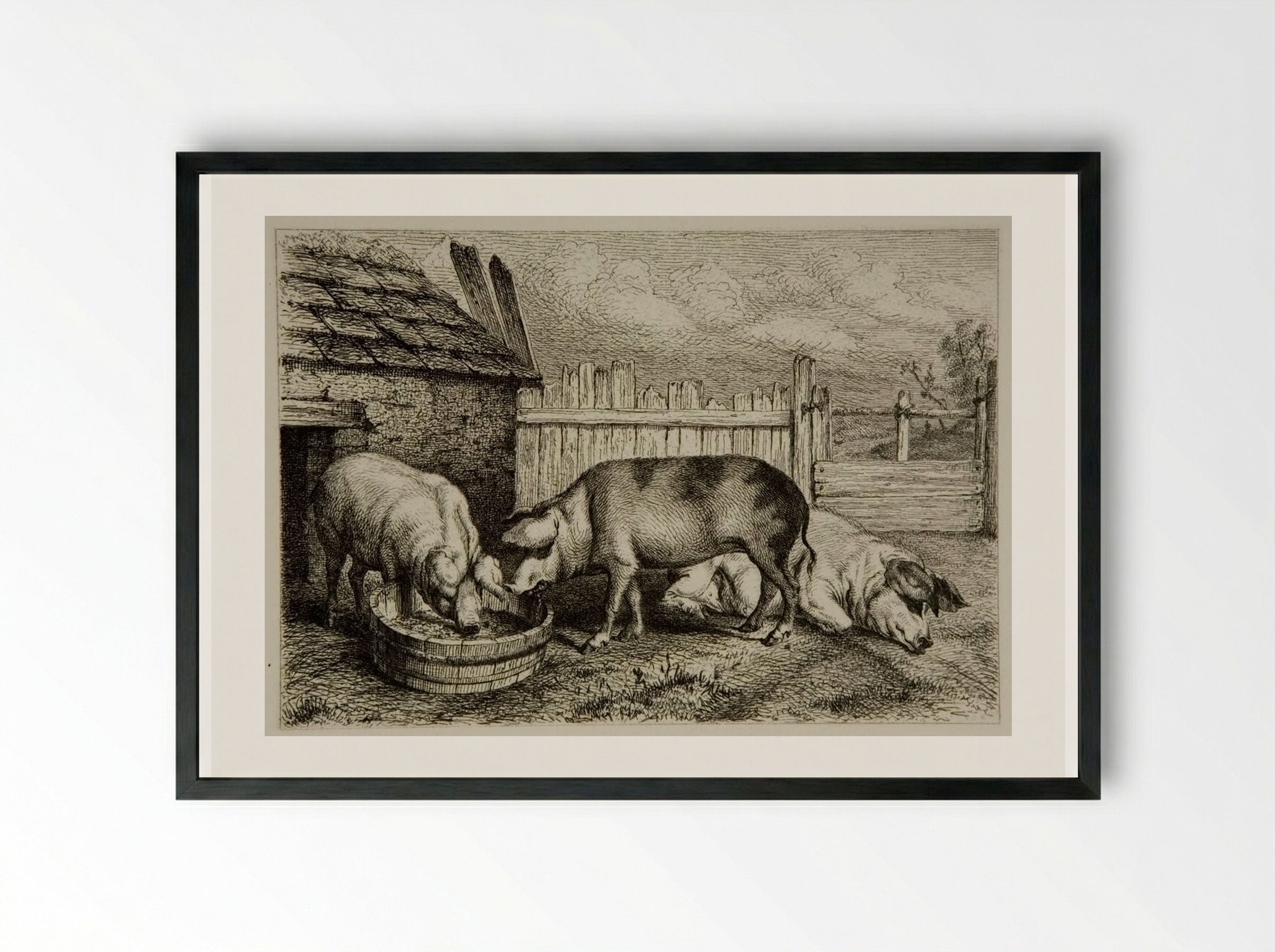 Three Pigs - Karl Bodmer - Framed Print Black