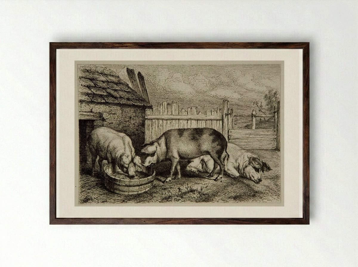 Three Pigs - Karl Bodmer - Framed Print Dark Wood