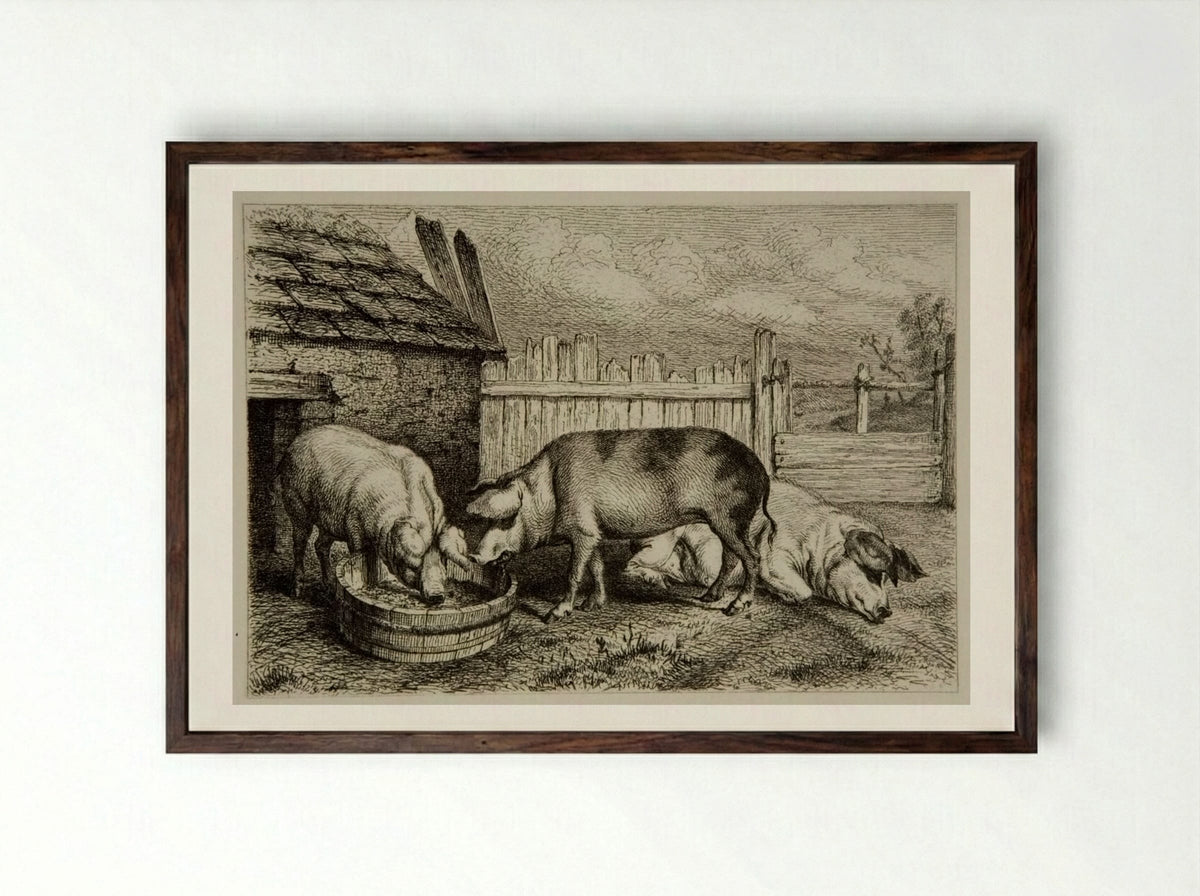 Three Pigs - Karl Bodmer - Framed Print Dark Wood