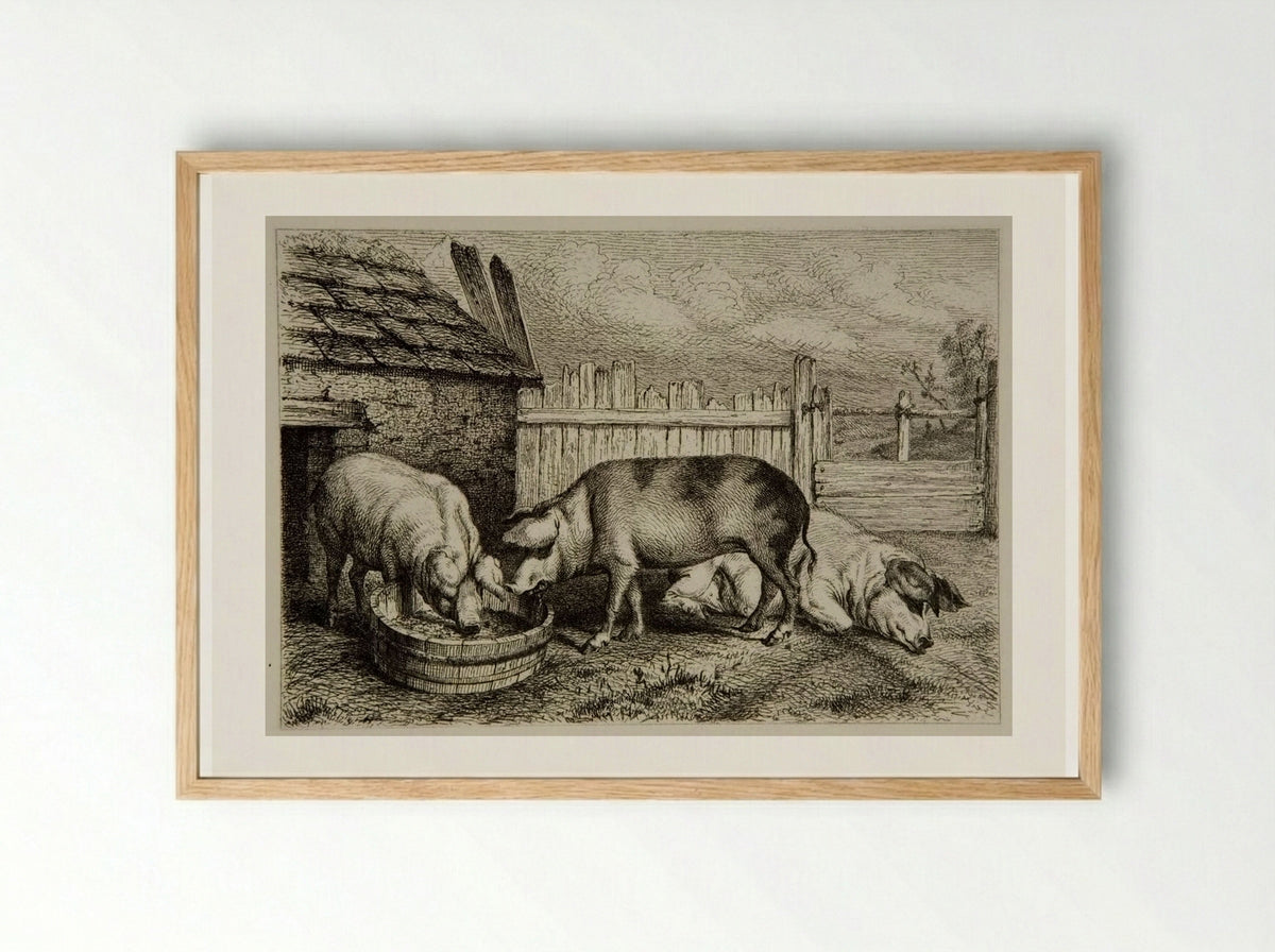 Three Pigs - Karl Bodmer - Framed Print Wood