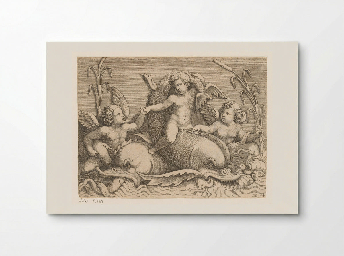 Three Putti with Dolphins - Adamo Scultori - Poster