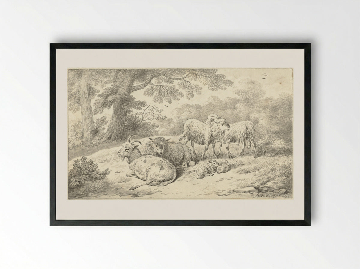 Three Sheep, Two Lambs and a Goat in a Wooded Setting - Adriaen Oudendijck - Framed Print Black