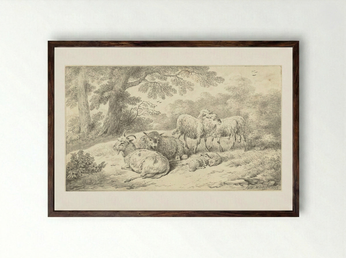 Three Sheep, Two Lambs and a Goat in a Wooded Setting - Adriaen Oudendijck - Framed Print Dark Wood