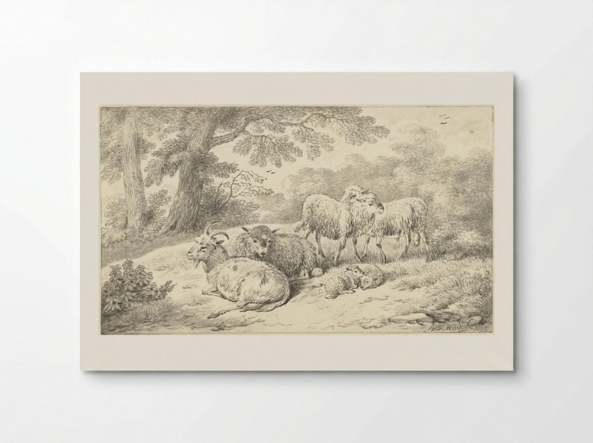Three Sheep, Two Lambs and a Goat in a Wooded Setting - Adriaen Oudendijck - Poster