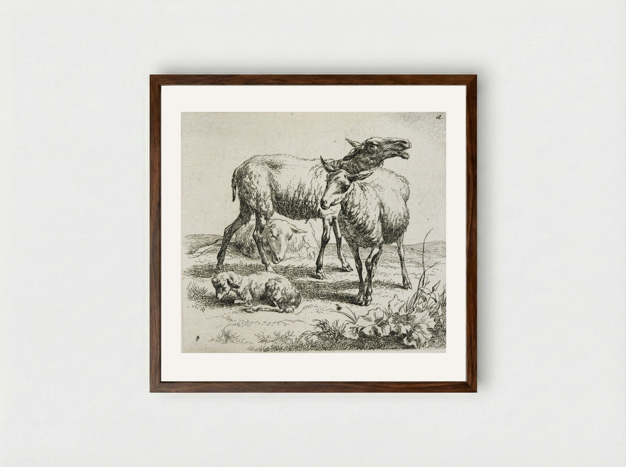 Three Sheep and a Kid - Nicolaes Berchem - Framed Print Dark Wood