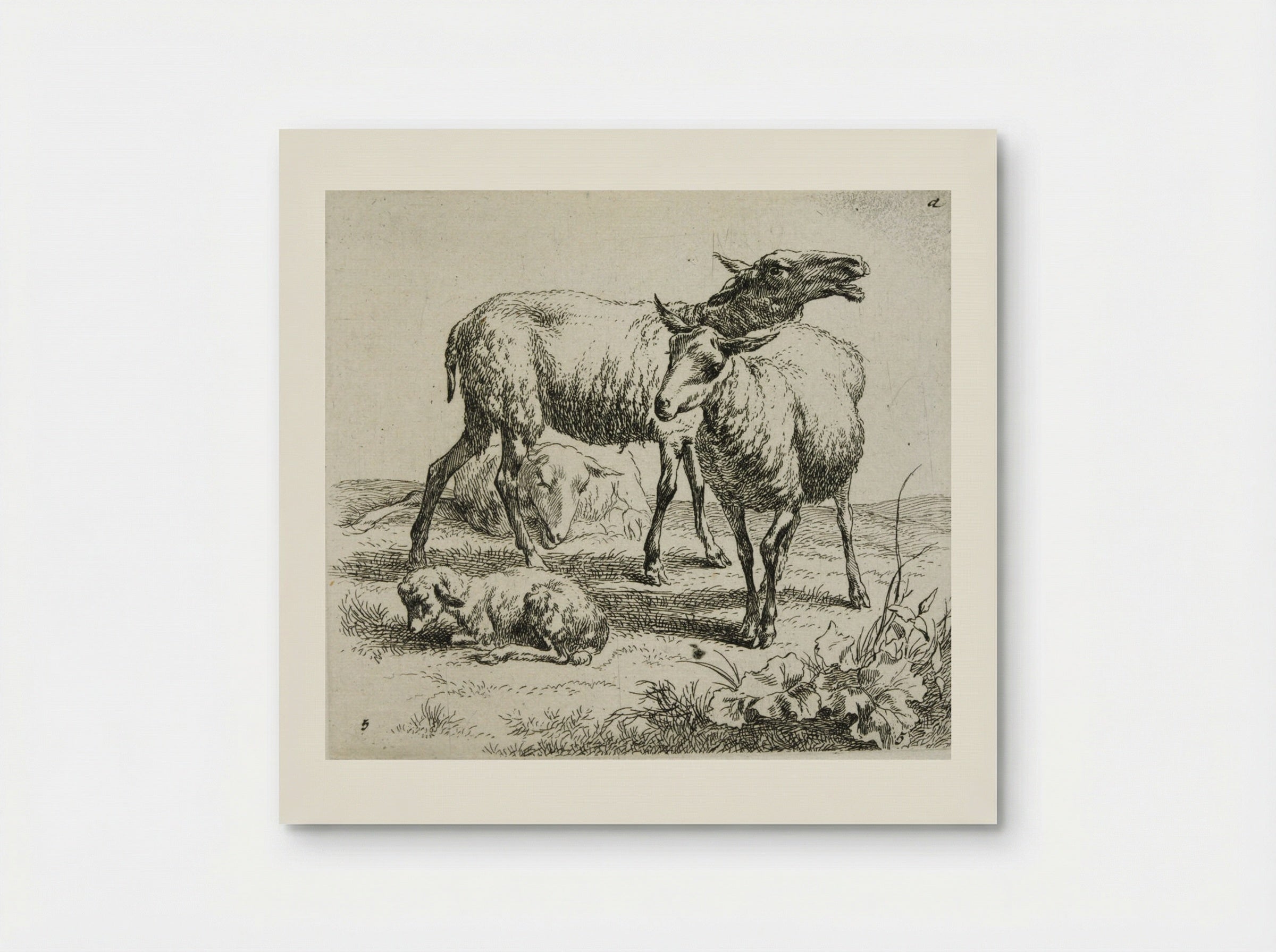 Three Sheep and a Kid - Nicolaes Berchem - Poster