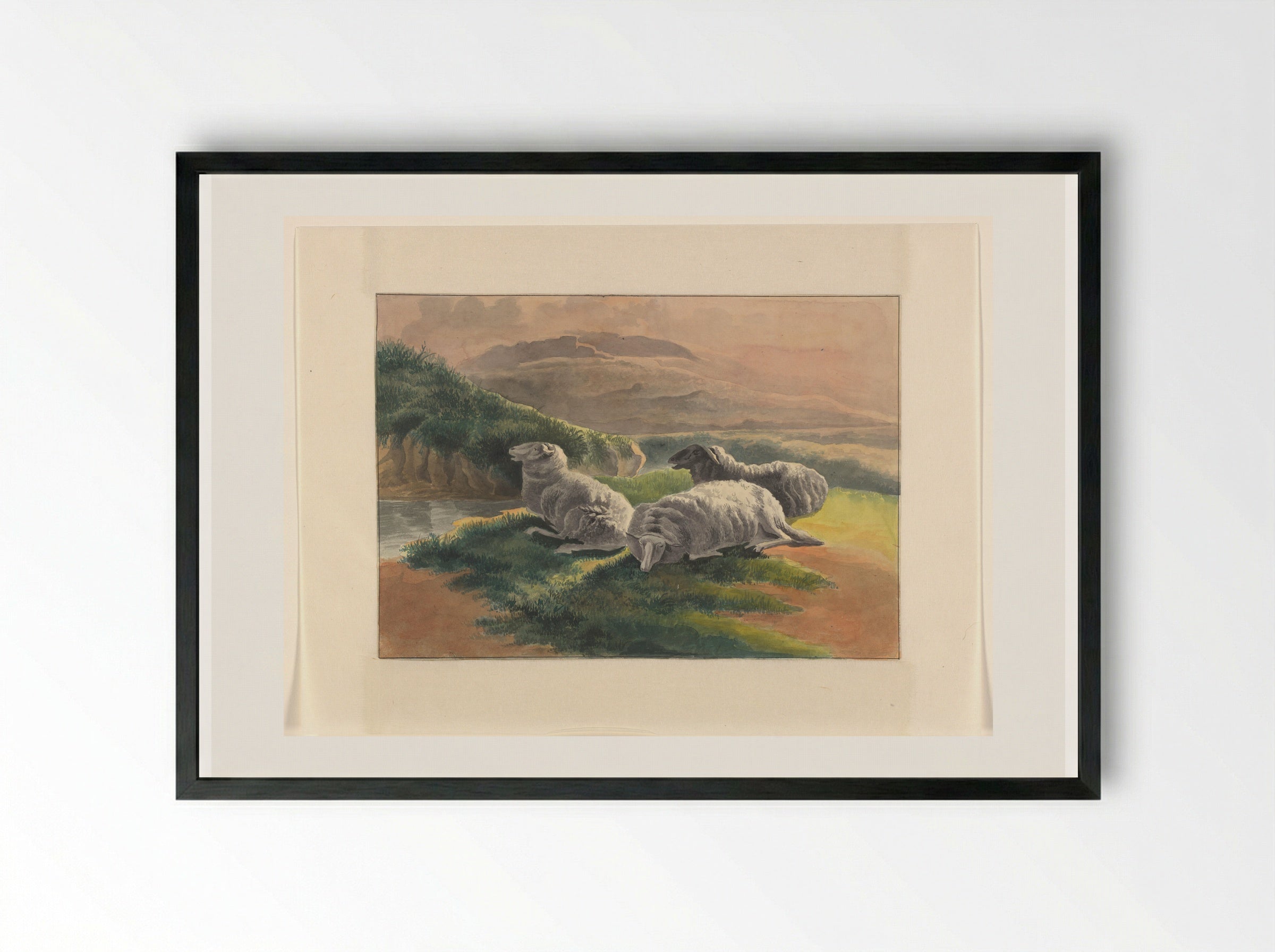 Three Sheep in a Landscape at Sunset - Johannes van Reijn - Framed Print Black