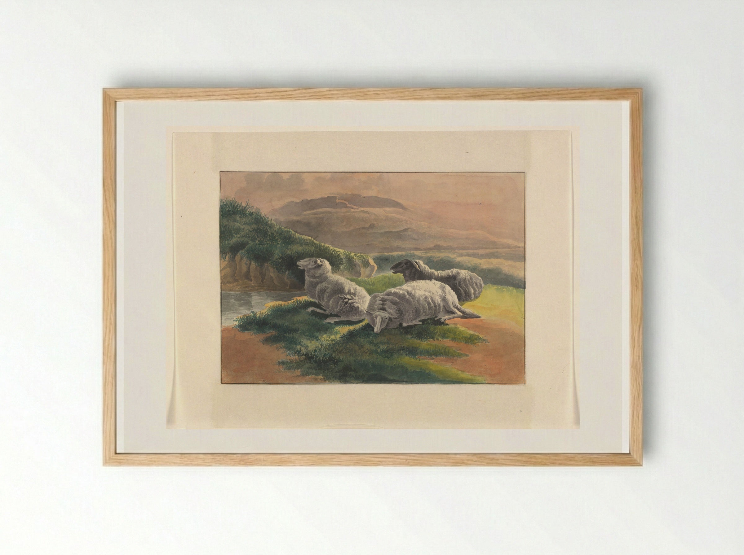 Three Sheep in a Landscape at Sunset - Johannes van Reijn - Framed Print Wood