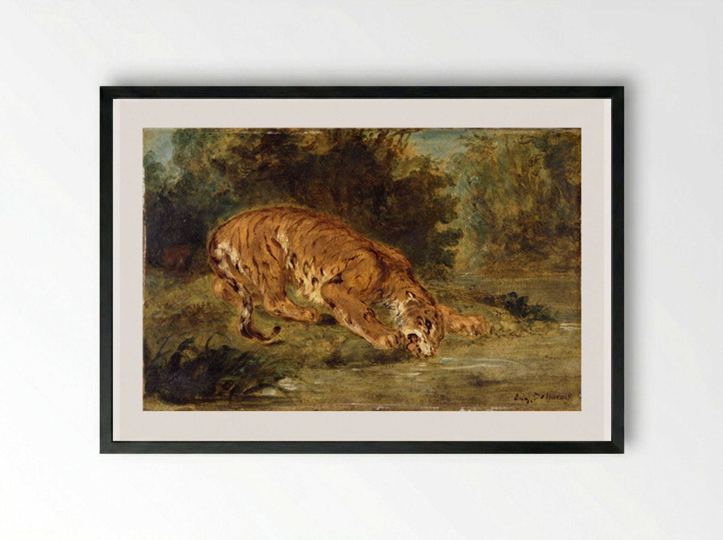 Tiger Drinking - Eugène Delacroix - Framed Print Black