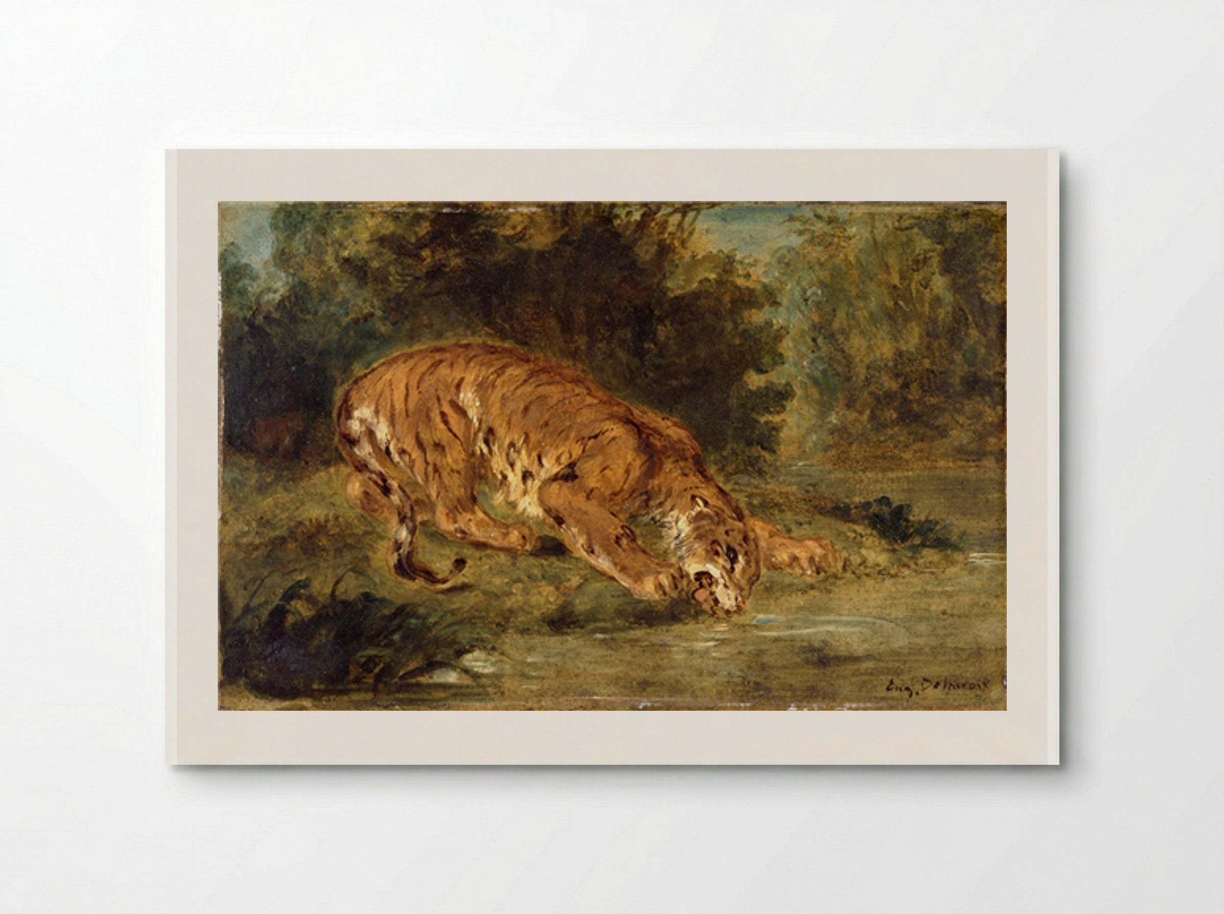 Tiger Drinking - Eugène Delacroix - Poster