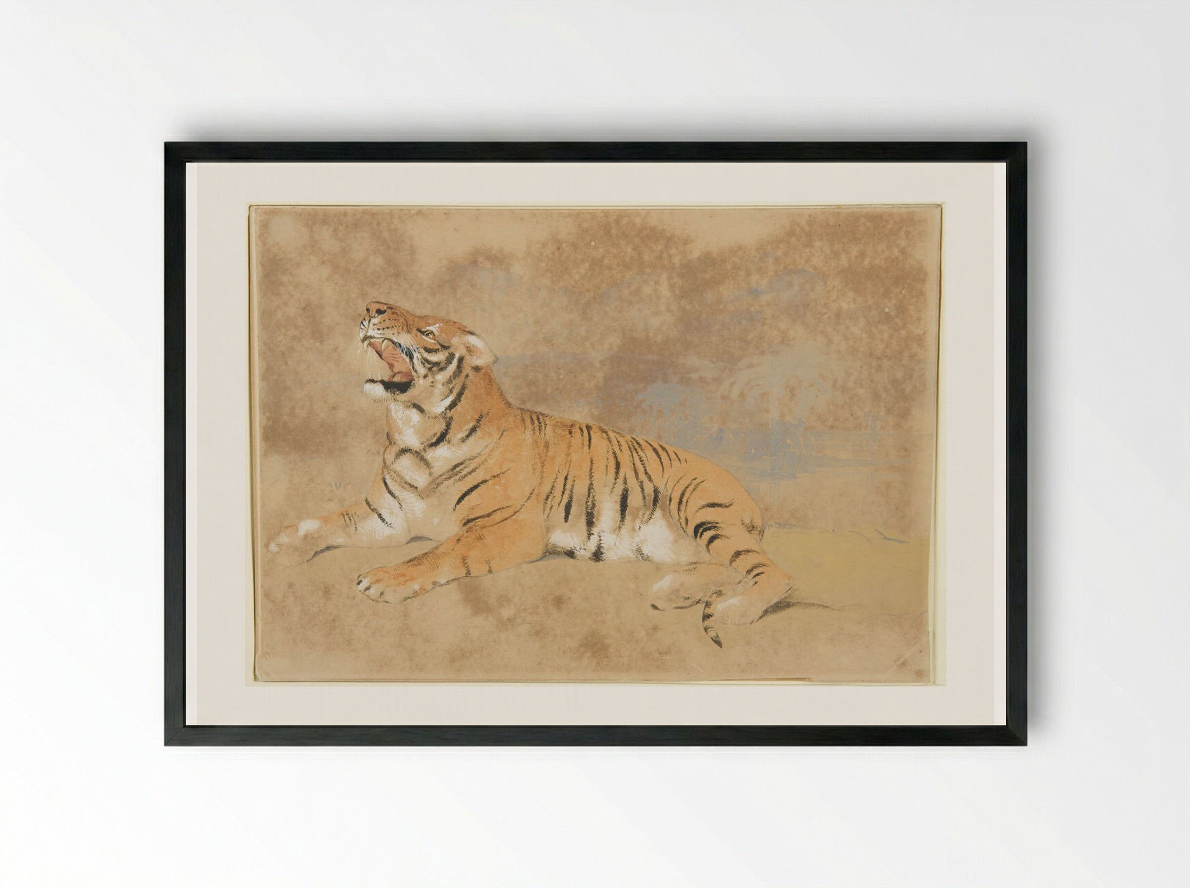 Tiger - Sir Edwin Henry Landseer - Framed Print Black