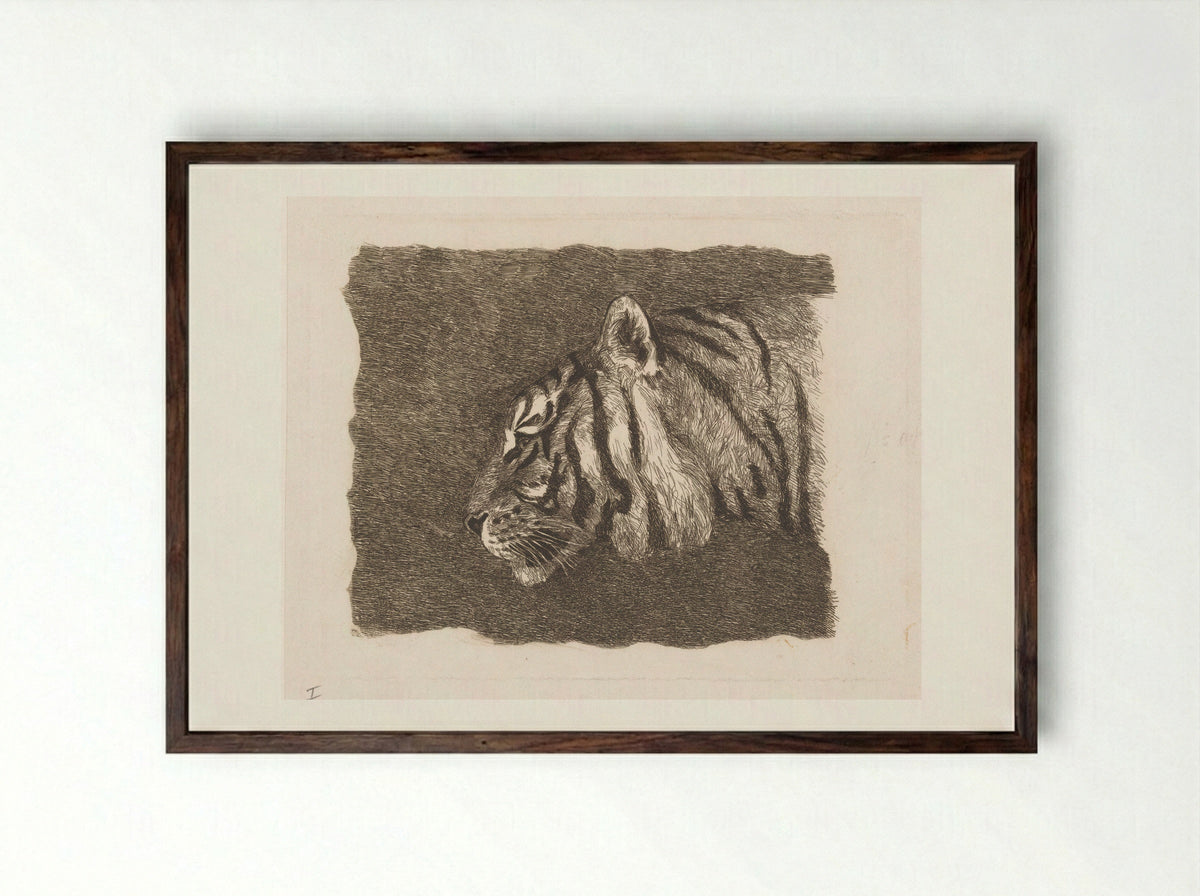 Tijgerkop (Tiger Head) - August Le Gras - Framed Print Dark Wood
