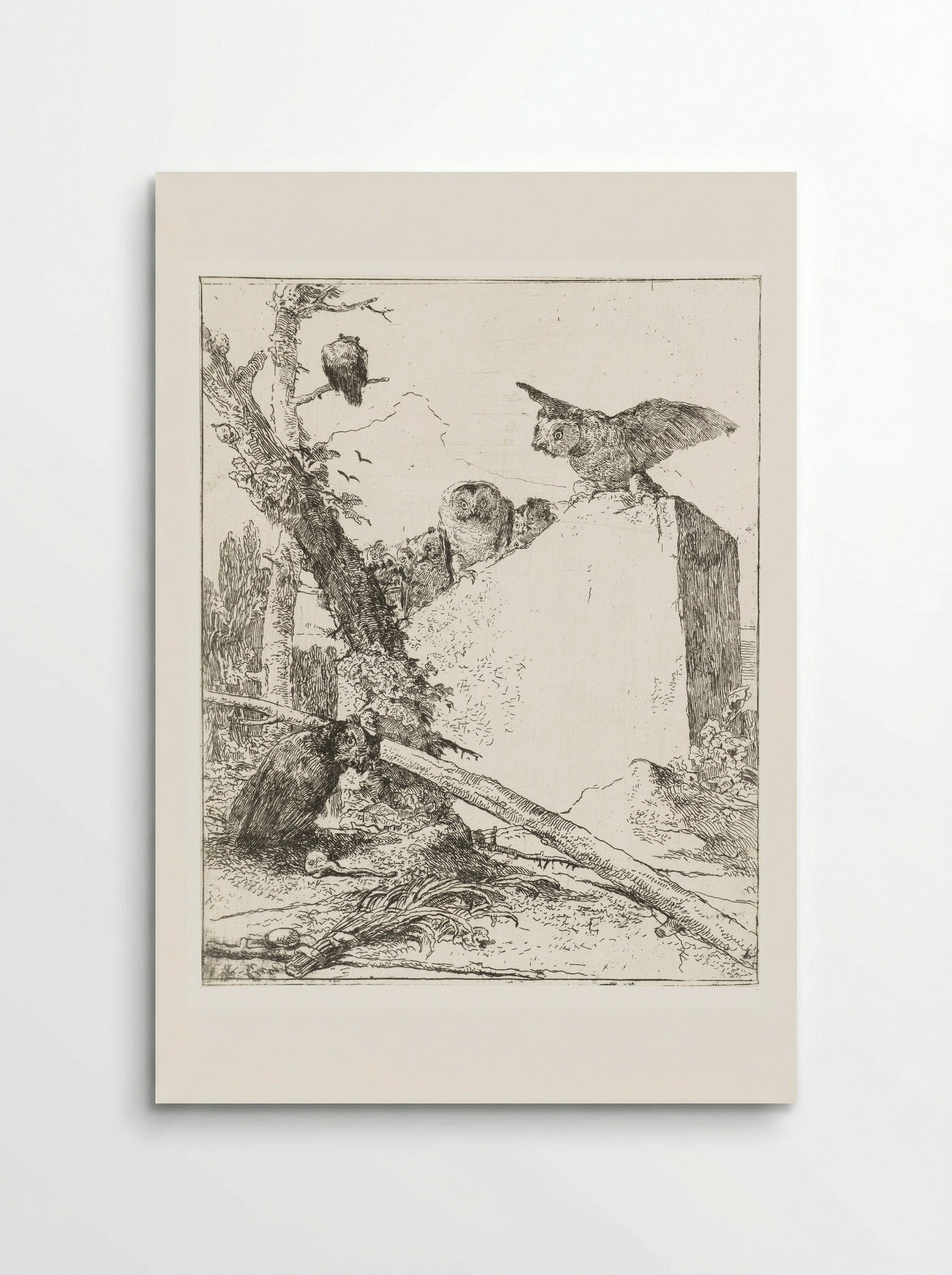 Titelprent voor Scherzi di fantasia met uilen bij een steen - Giovanni Battista Tiepolo - Poster