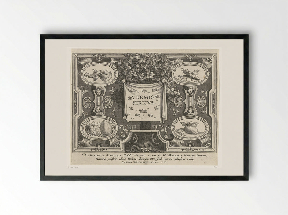 Title Page for Vermis Sericus - Karel van Mallery - Framed Print Black