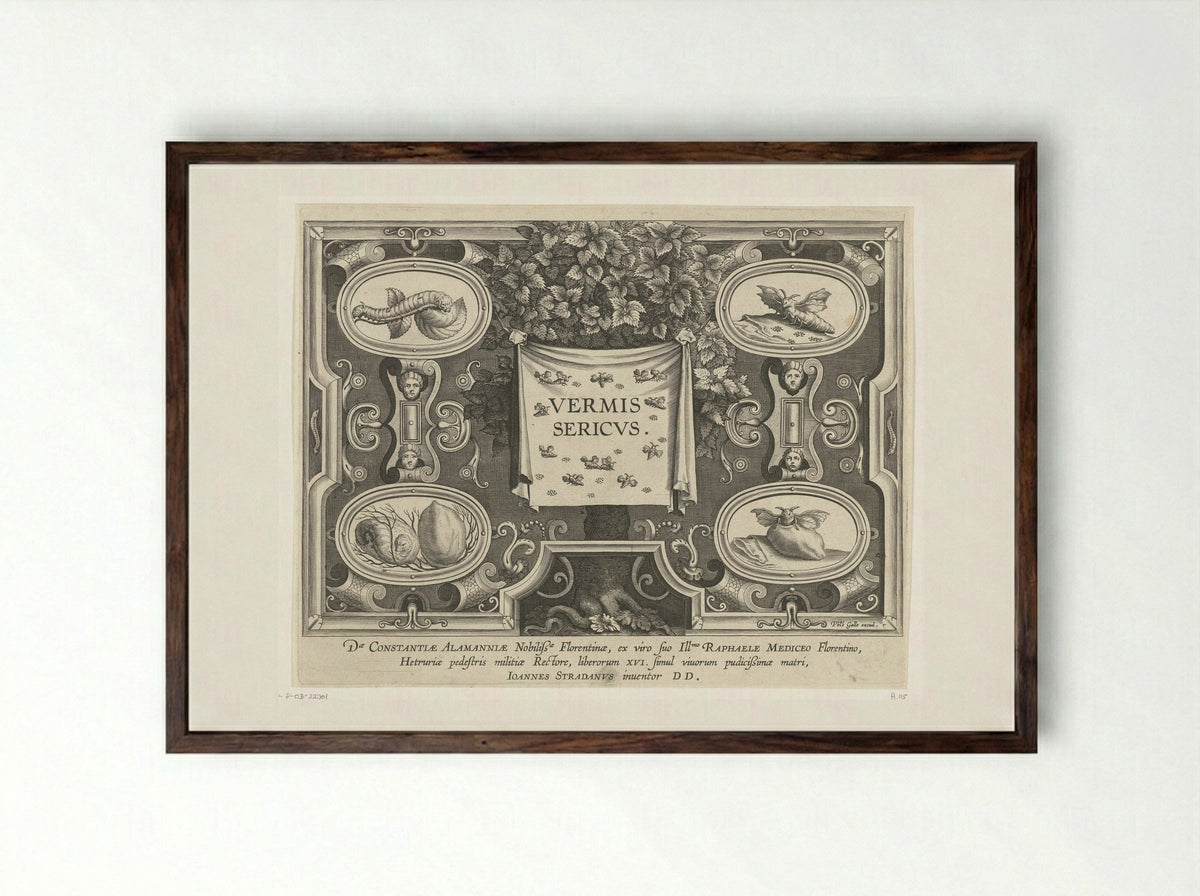 Title Page for Vermis Sericus - Karel van Mallery - Framed Print Dark Wood