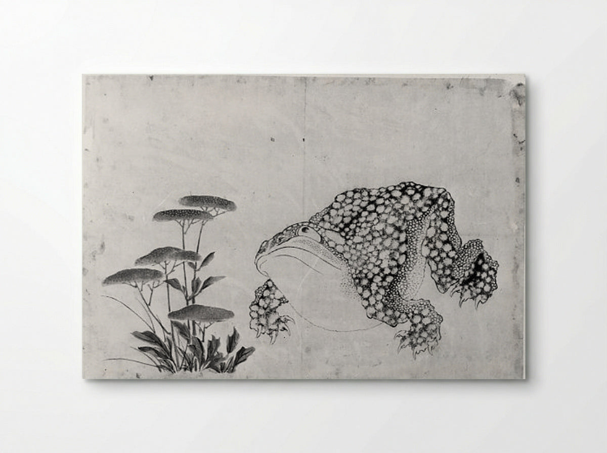 Toad and Flowers - Hokusai School - Poster