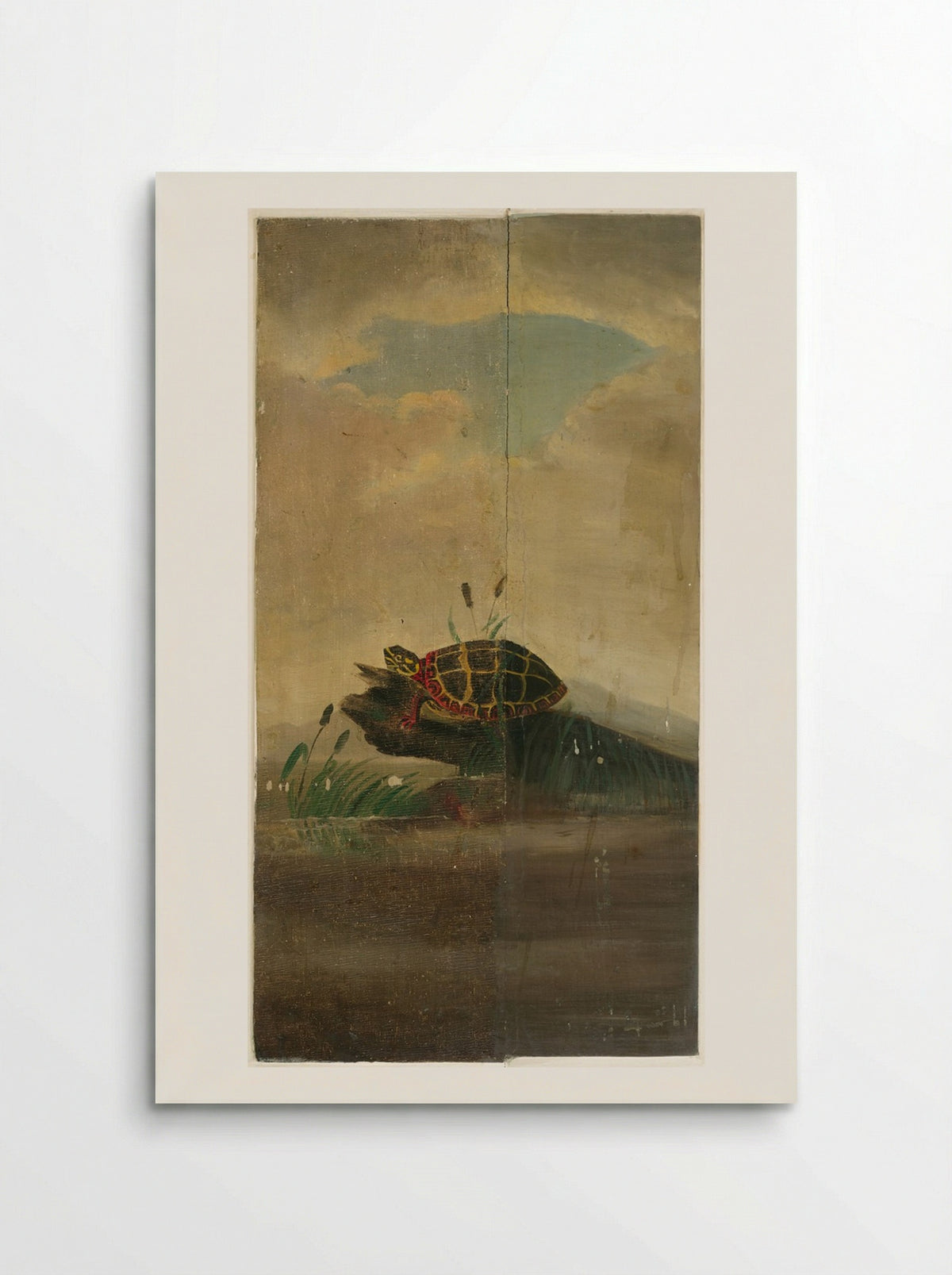 Tortoise Resting on a Log - William Stanley Haseltine - Poster