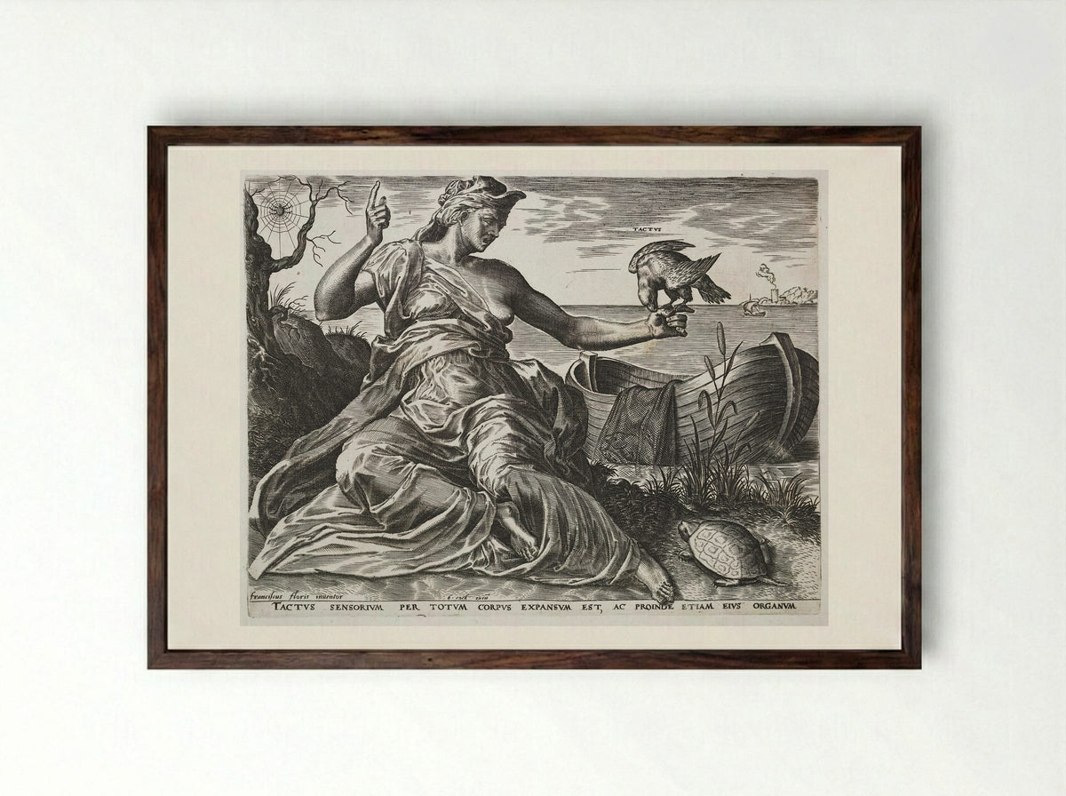 Touch (Tactus) - Cornelis Cort - Framed Print Dark Wood