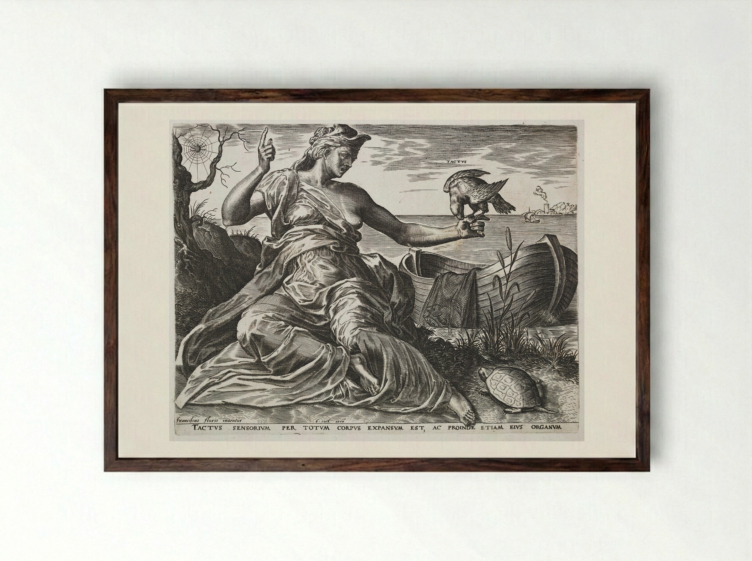 Touch (Tactus) - Cornelis Cort - Framed Print Dark Wood