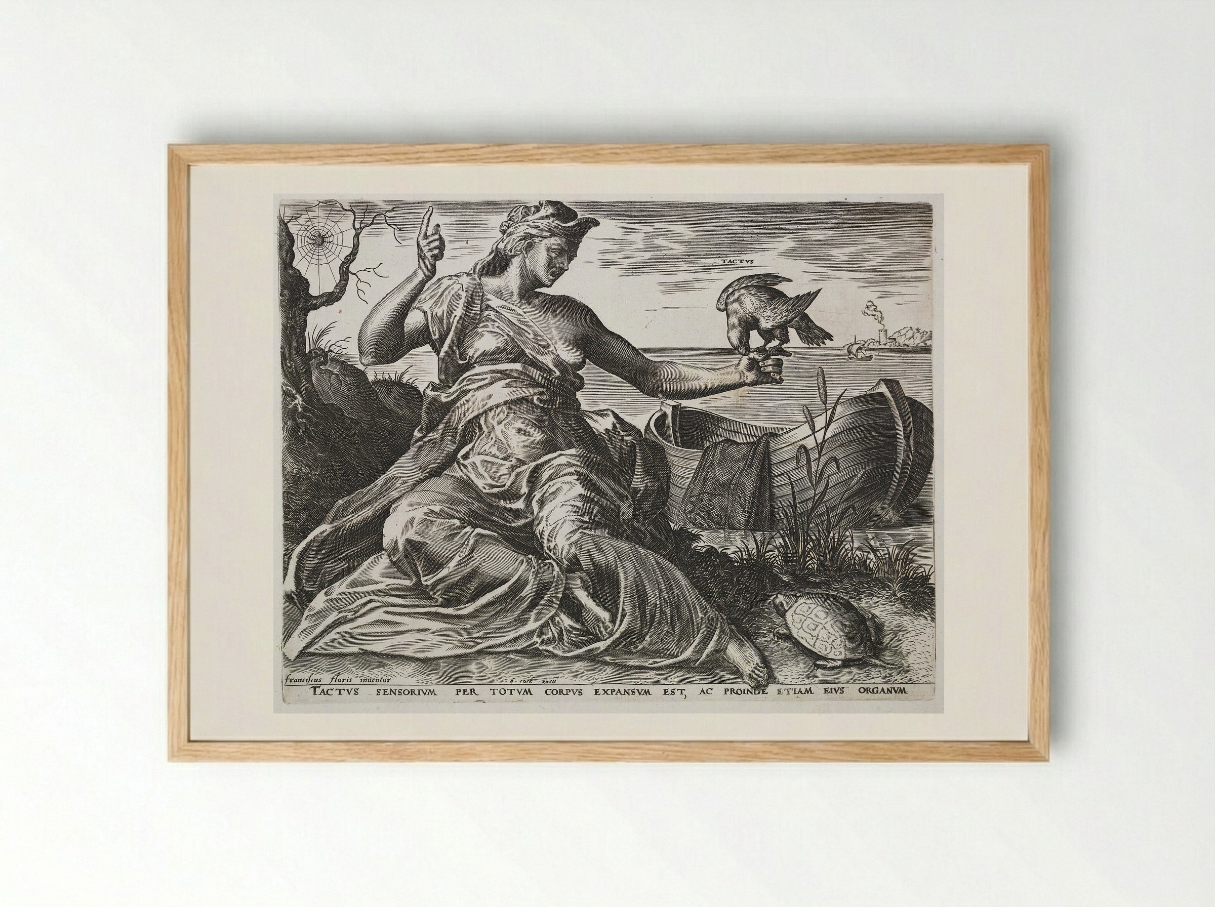Touch (Tactus) - Cornelis Cort - Framed Print Wood