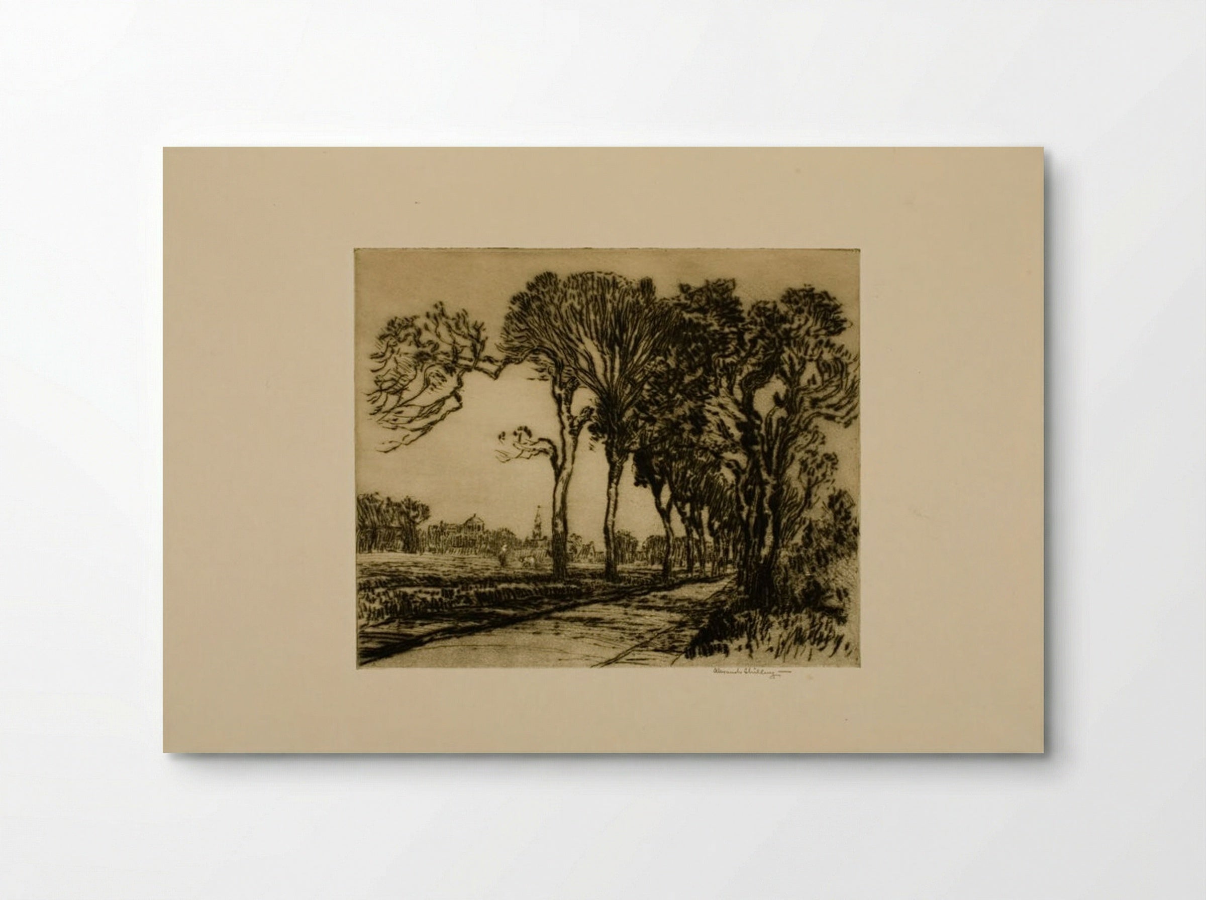 Tree Lined Road, Holland - Alexander Shilling - Poster