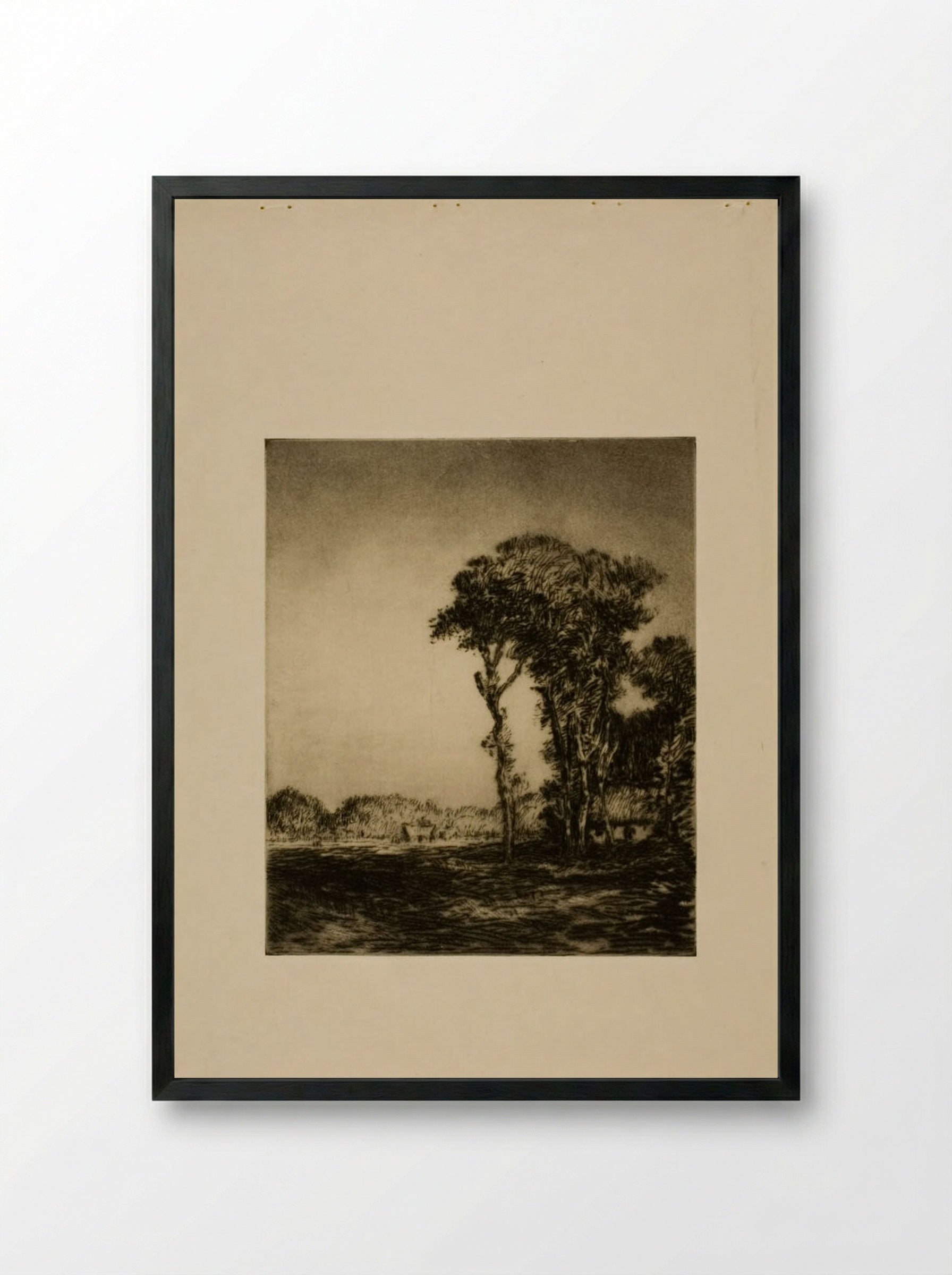 Trees and Field - Alexander Shilling - Framed Print Black